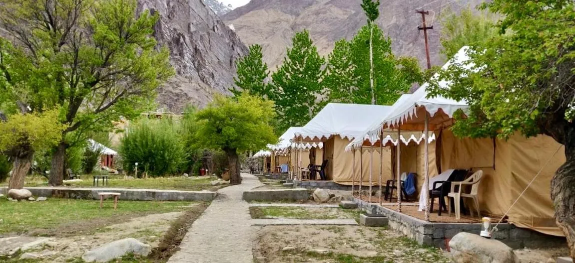 Royal Deluxe Camp & Resort, Hunder- Nubra