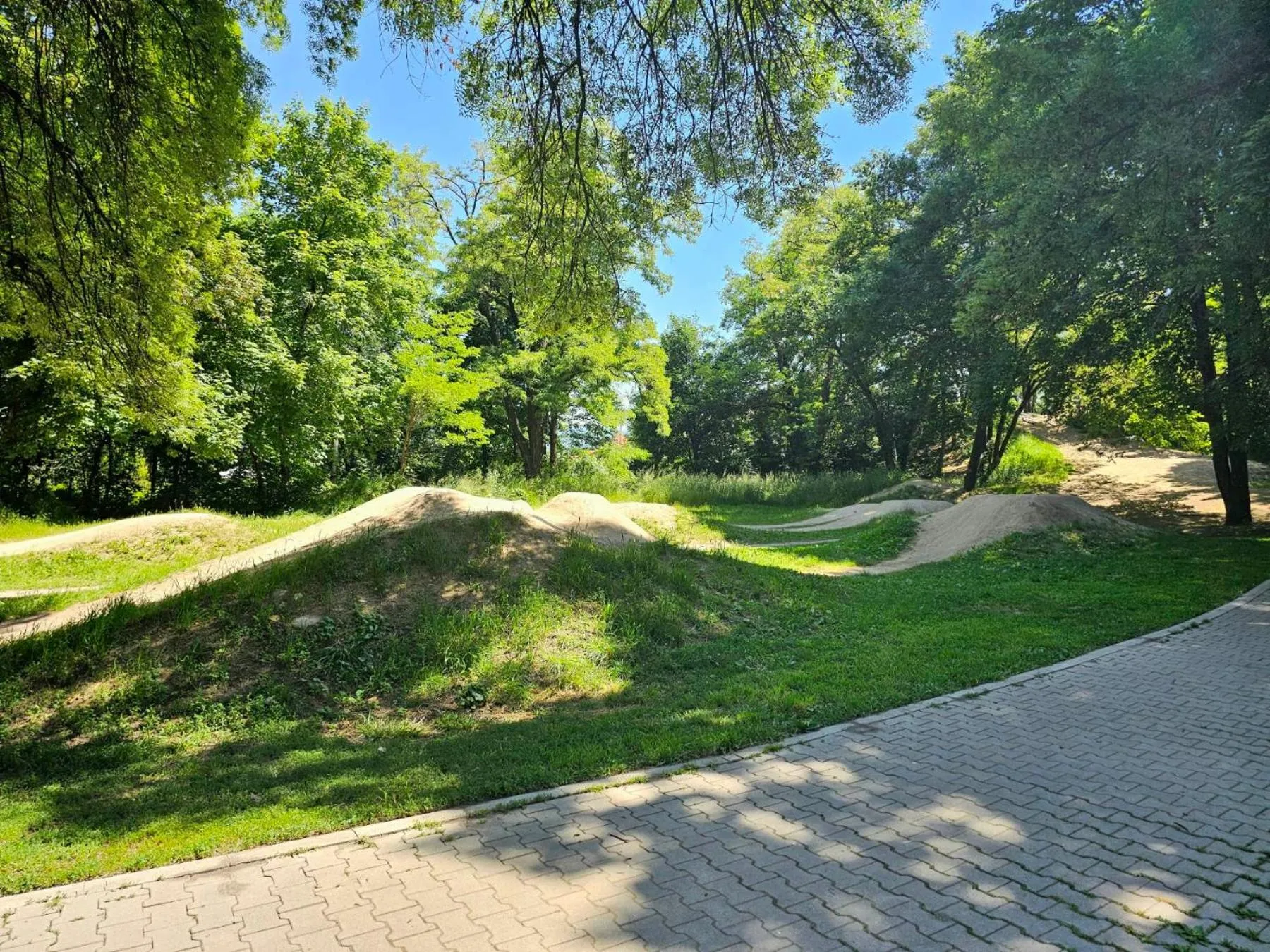 Natural landscape in Gardenia Park Hotel