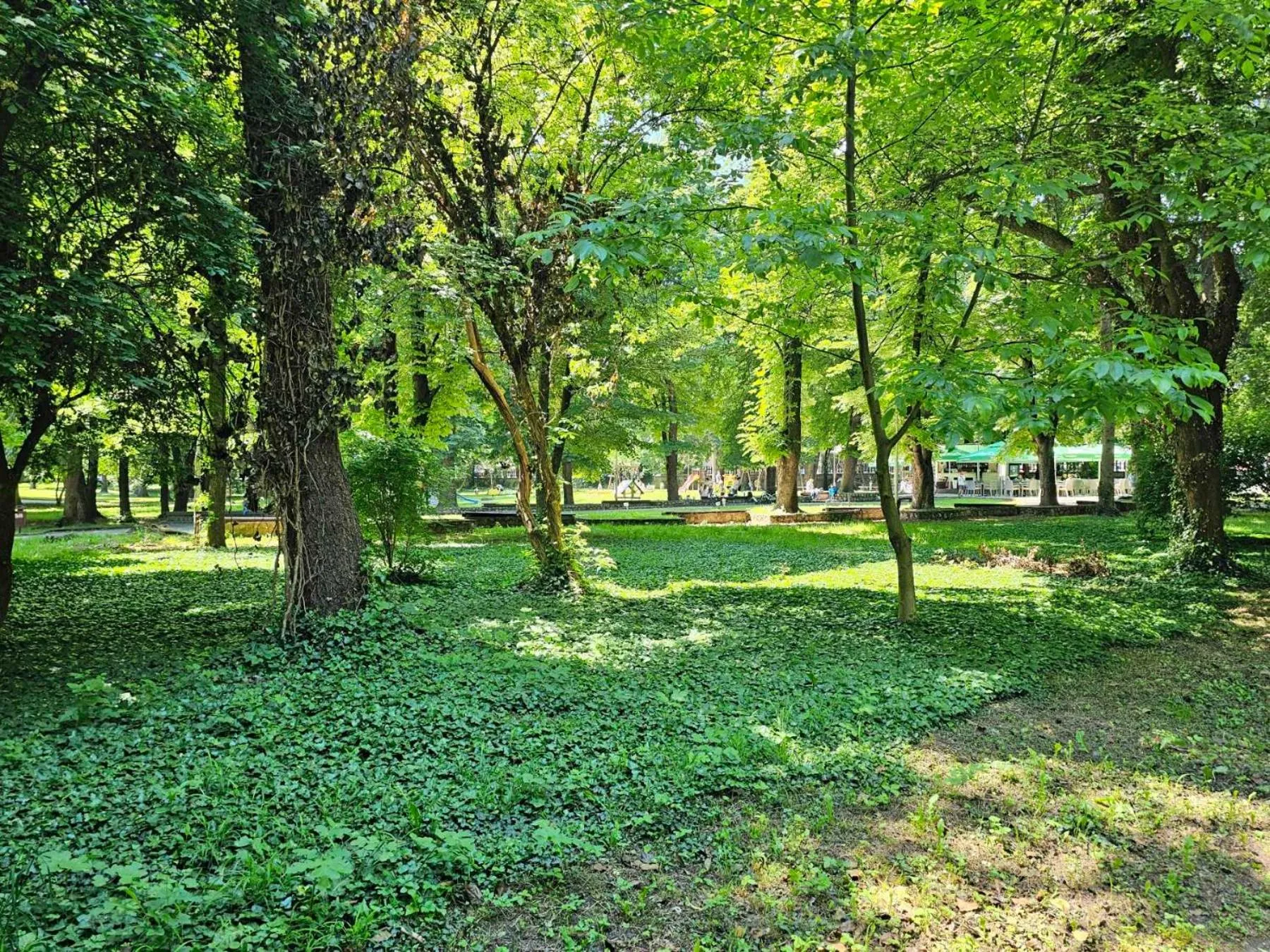 Day in Gardenia Park Hotel