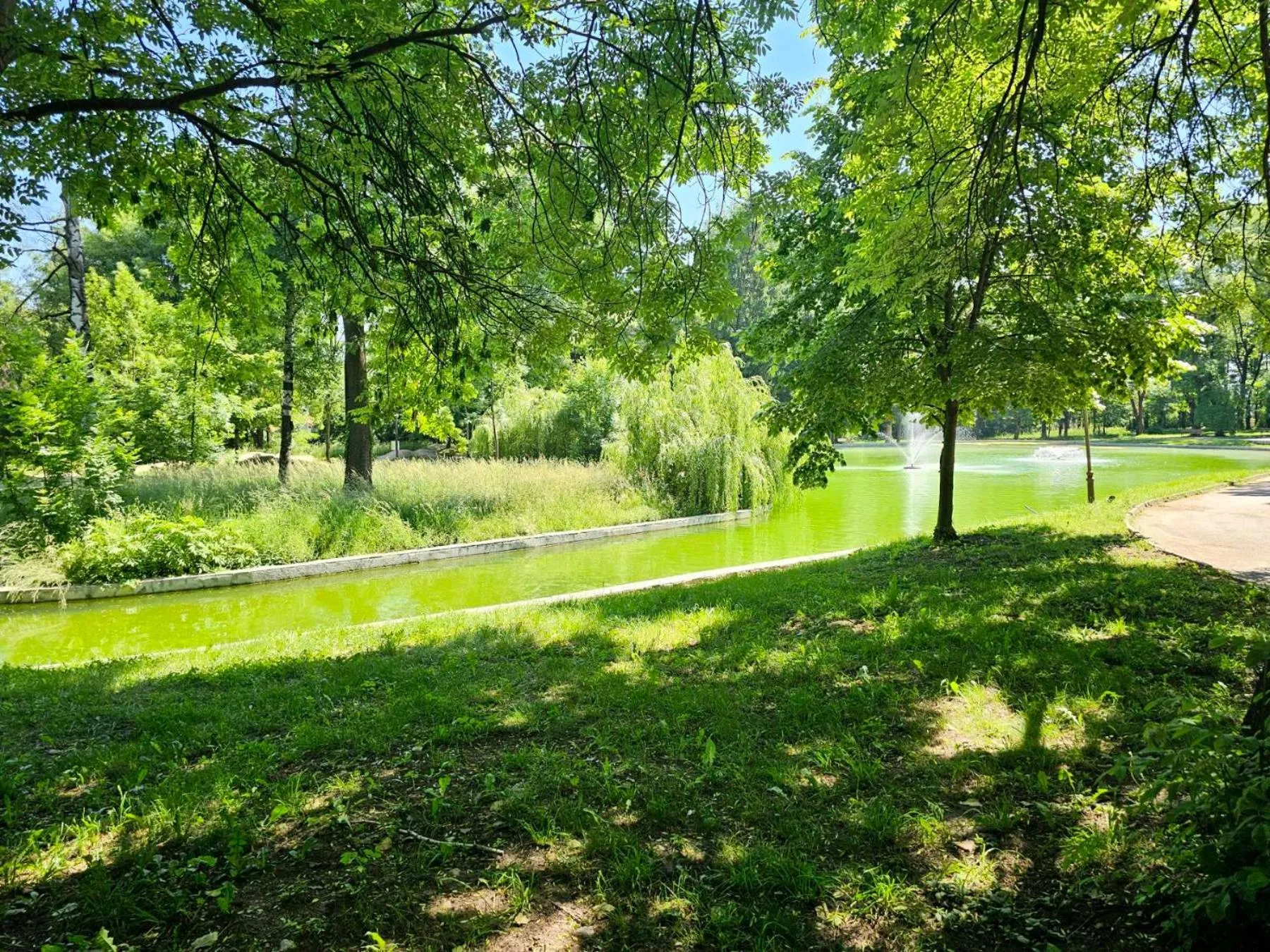 Day in Gardenia Park Hotel