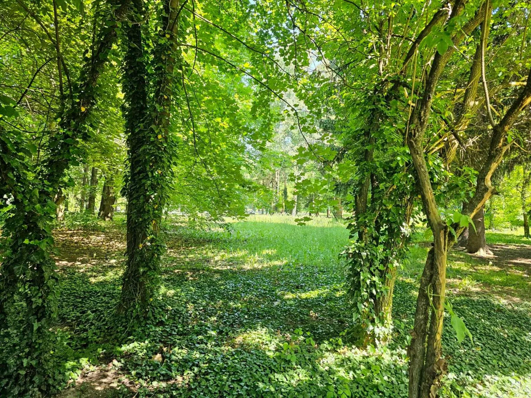 Day in Gardenia Park Hotel