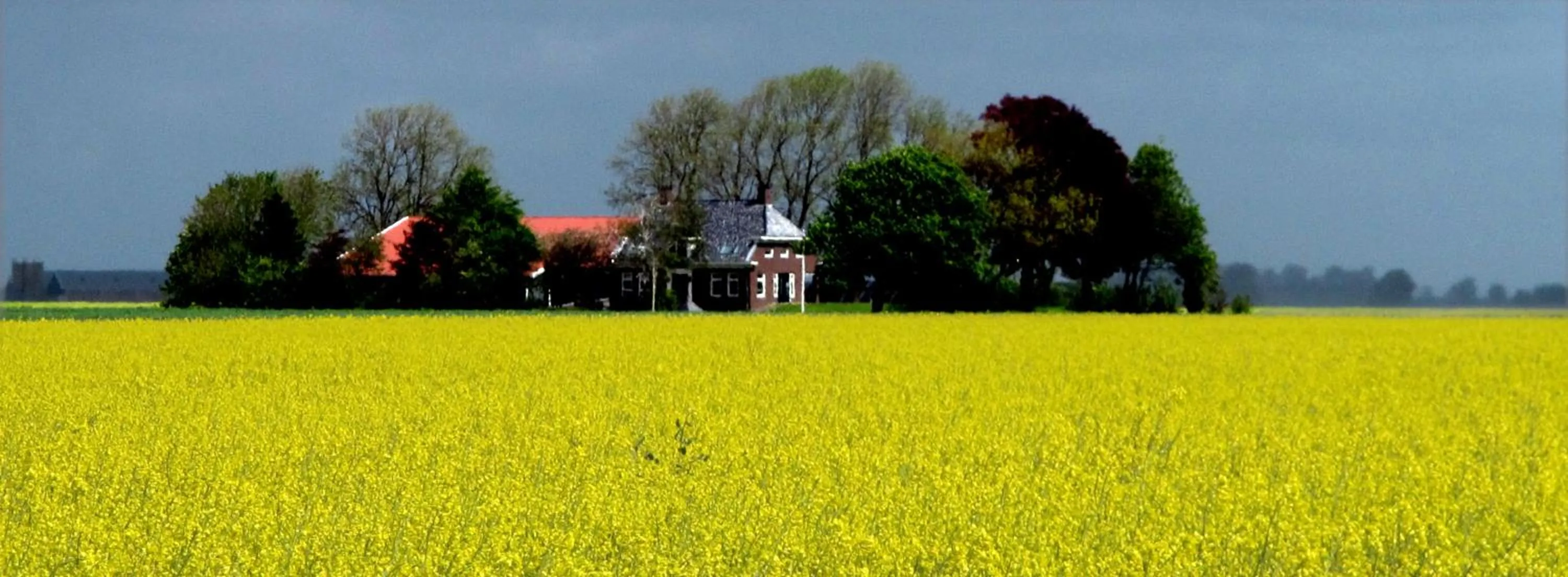 Hostel Herberg de Esborg Scheemda