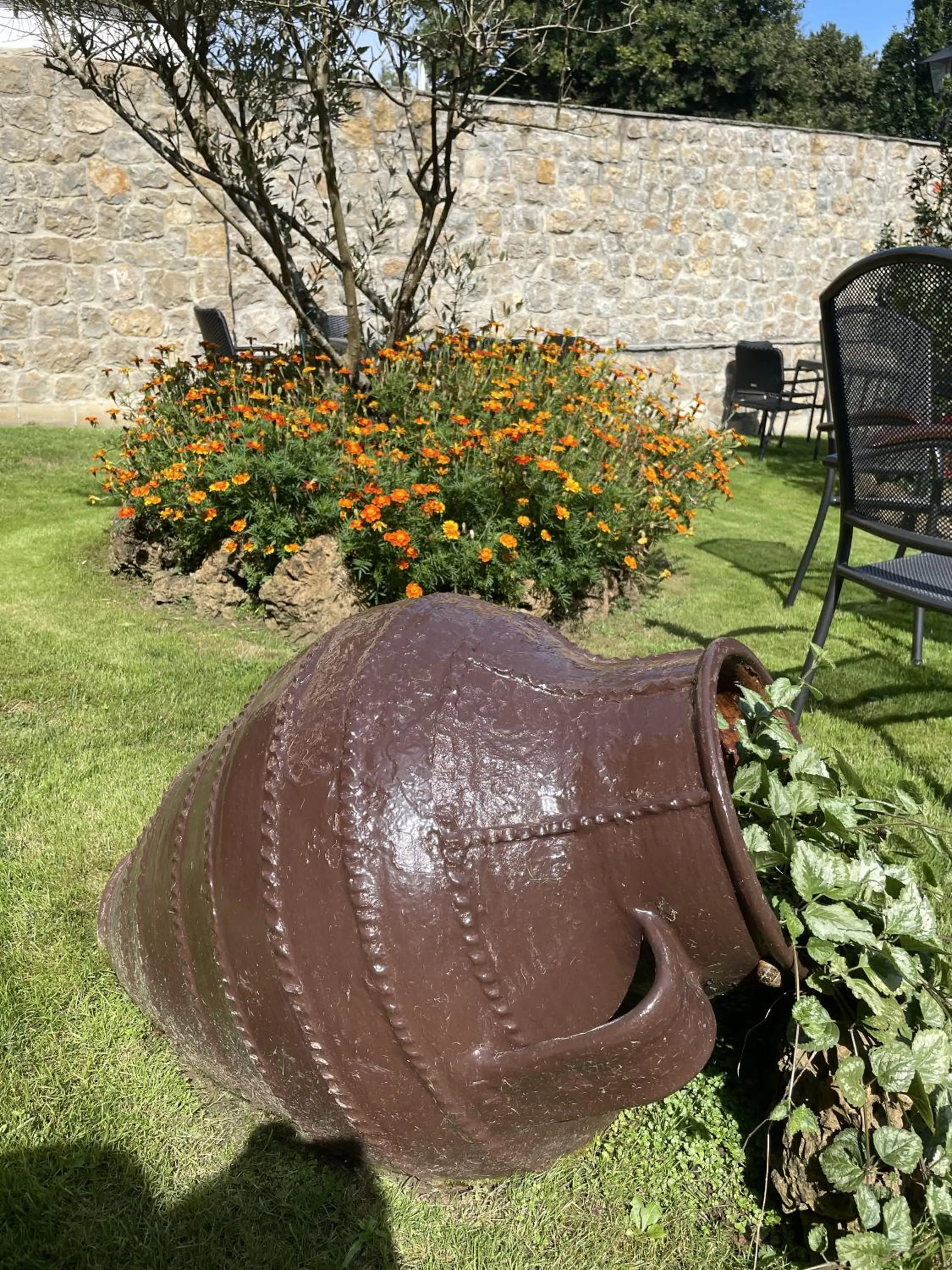 Garden in Posada Araceli