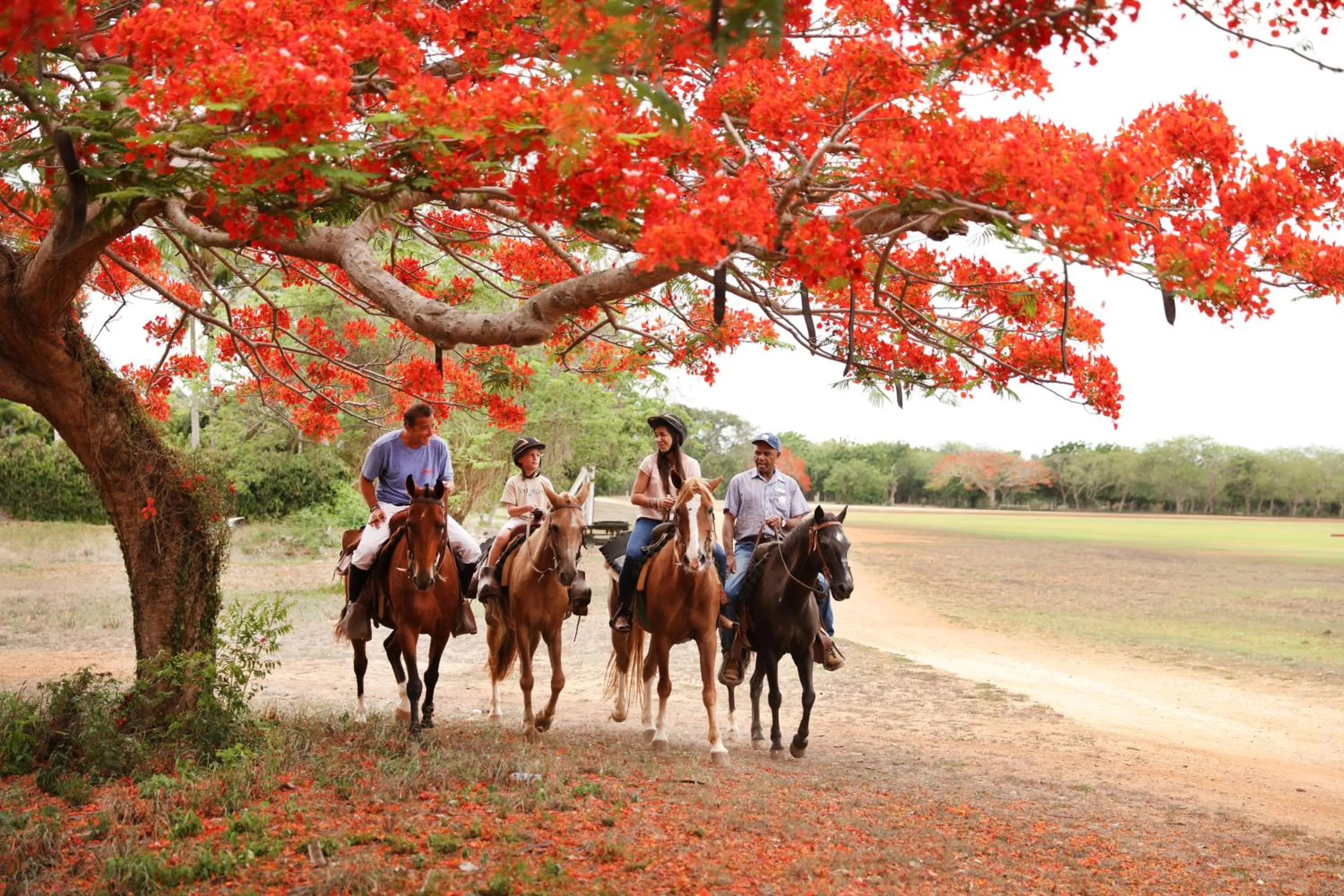 Horse-riding in Casa de Campo Resort & Villas
