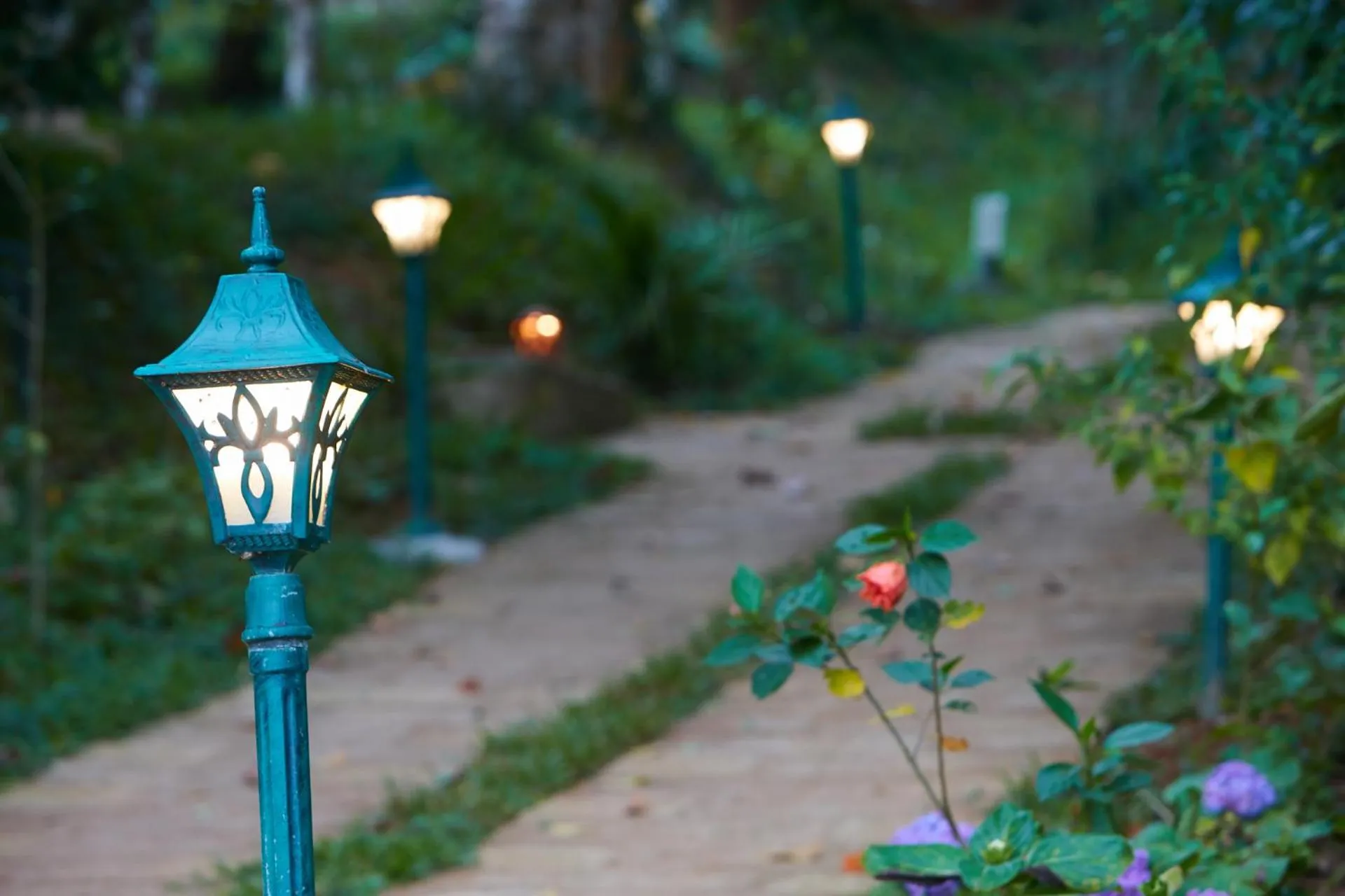 Garden in Raindrops Resorts Wayanad
