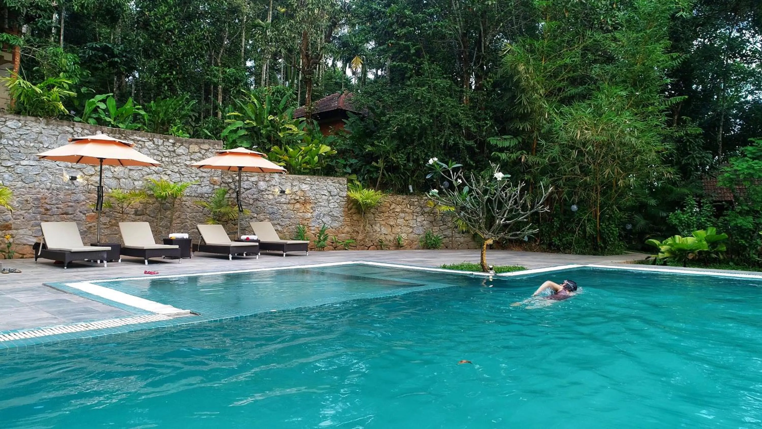 Swimming pool in Raindrops Resorts Wayanad