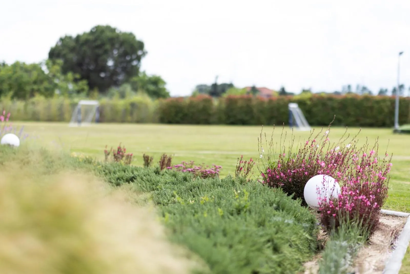 Garden in Mythic Summer Hotel