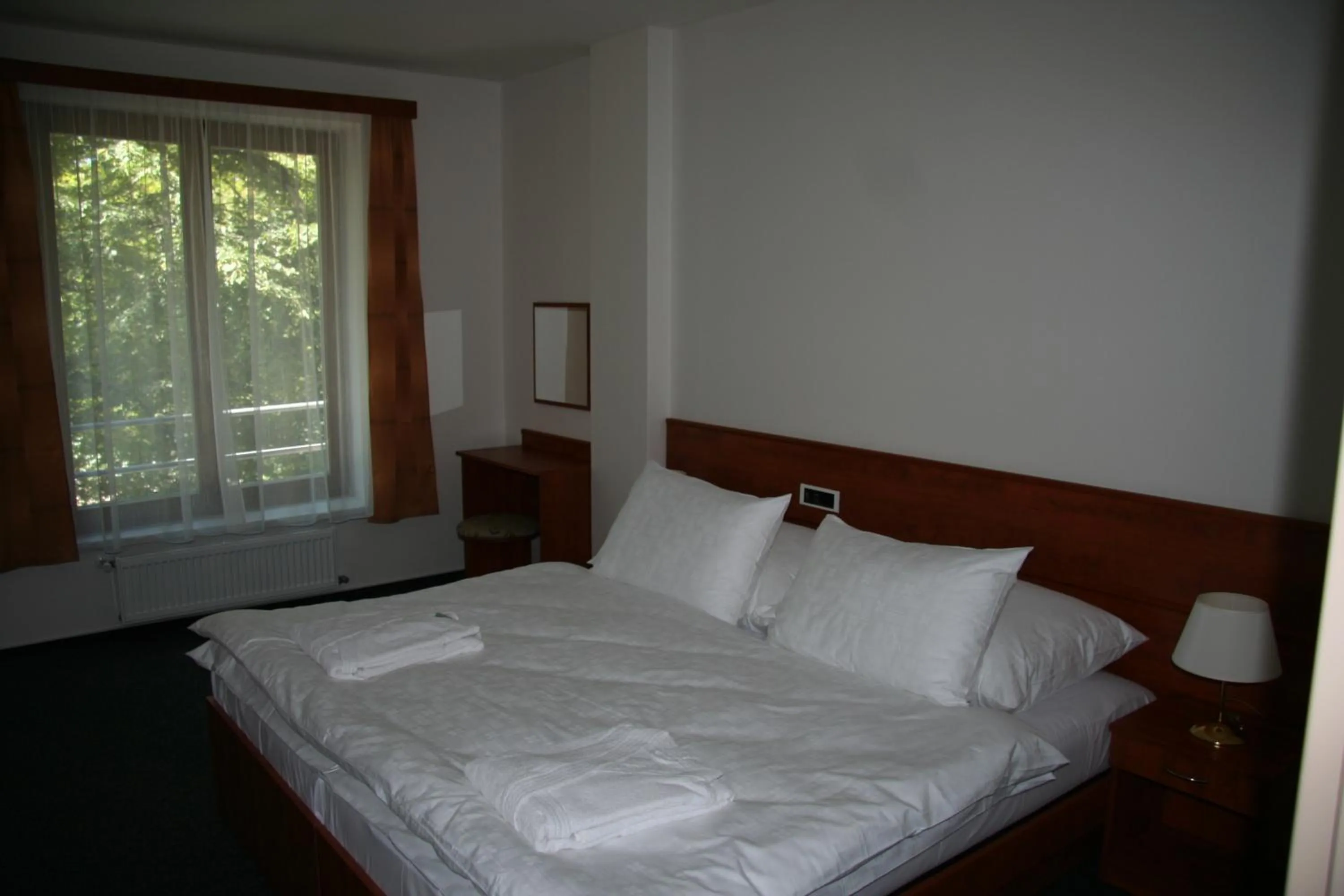 Photo of the whole room, Bed in Lazensky Hotel Park