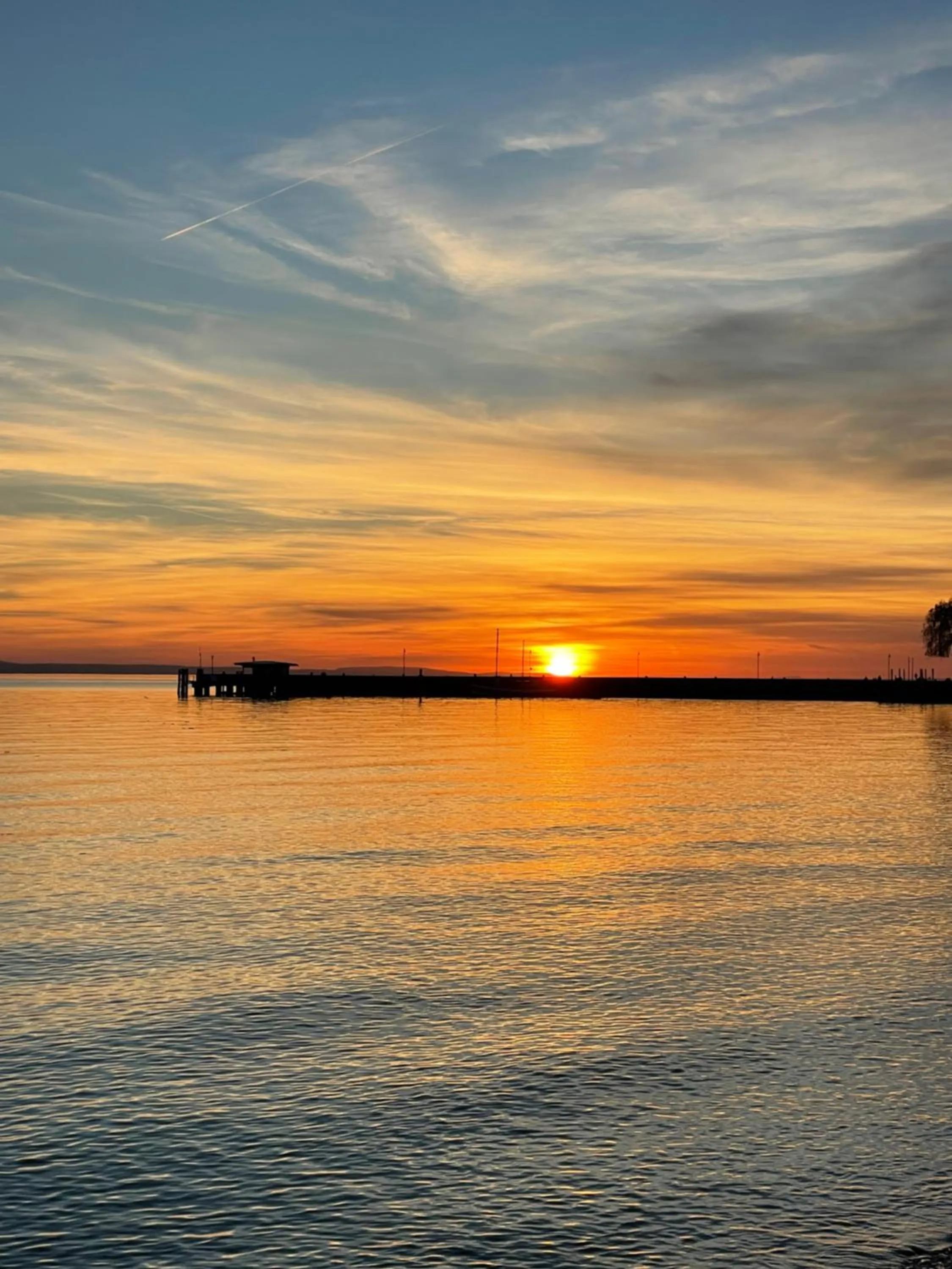 Natural landscape in SeeHotel Amtshof