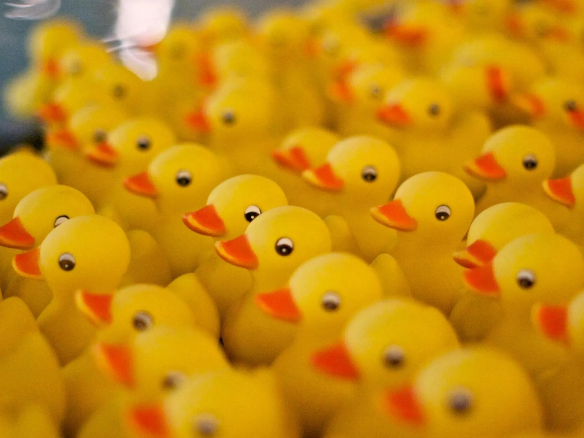 Swimming pool in Silks Place Taroko Hotel