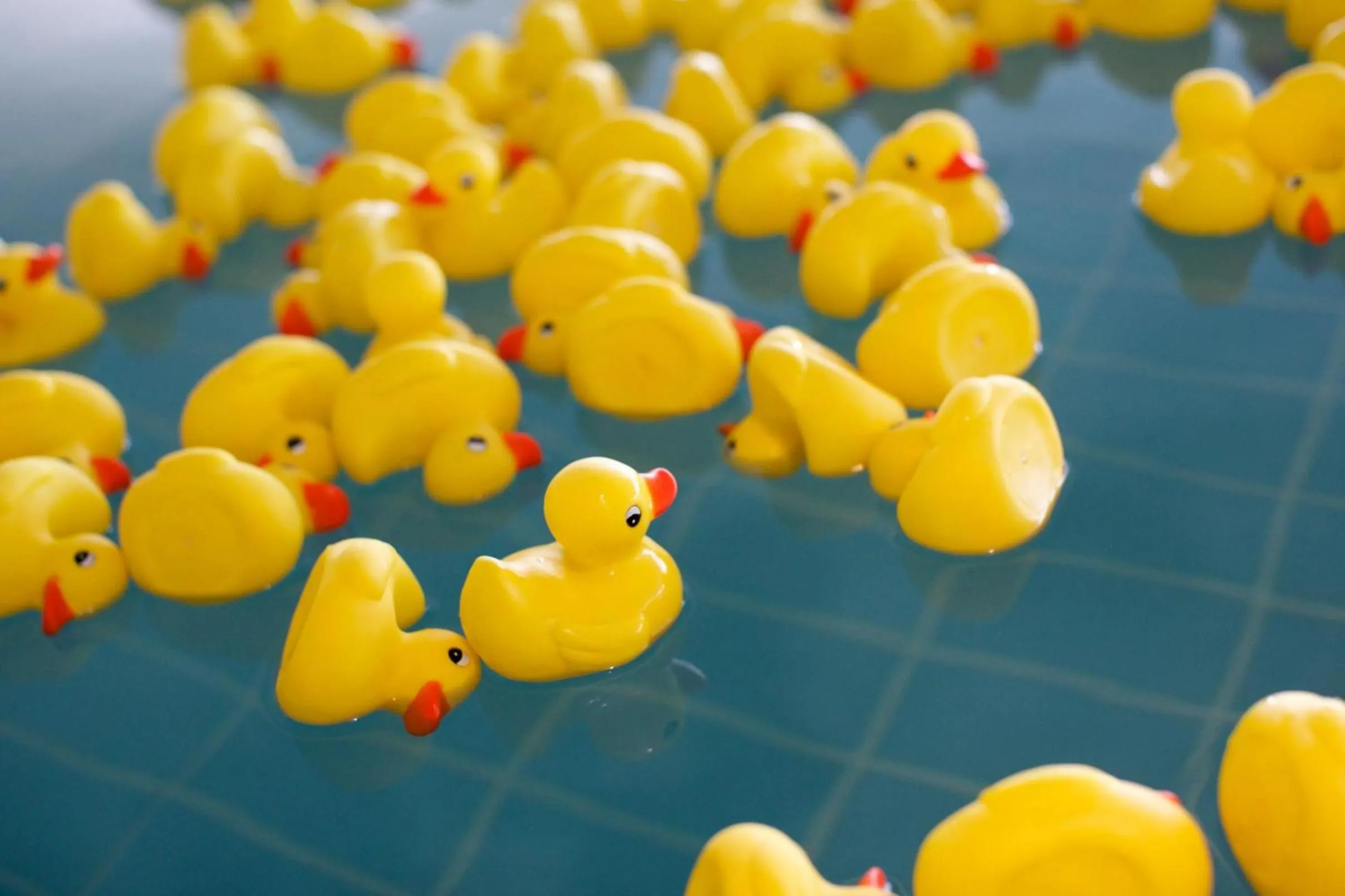 Activities in Silks Place Taroko Hotel