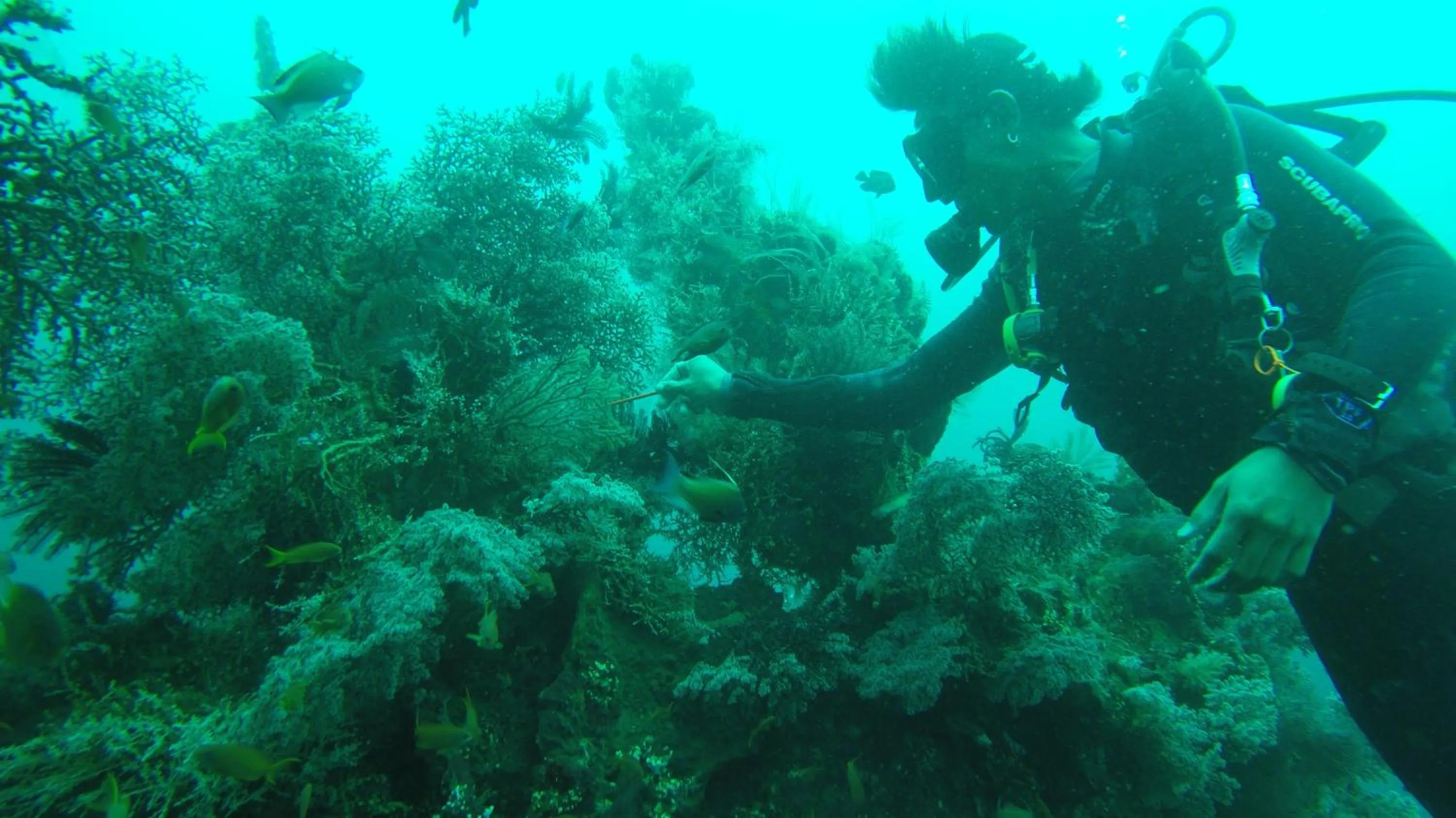 Diving in Ocean View Tulamben Dive & Resort
