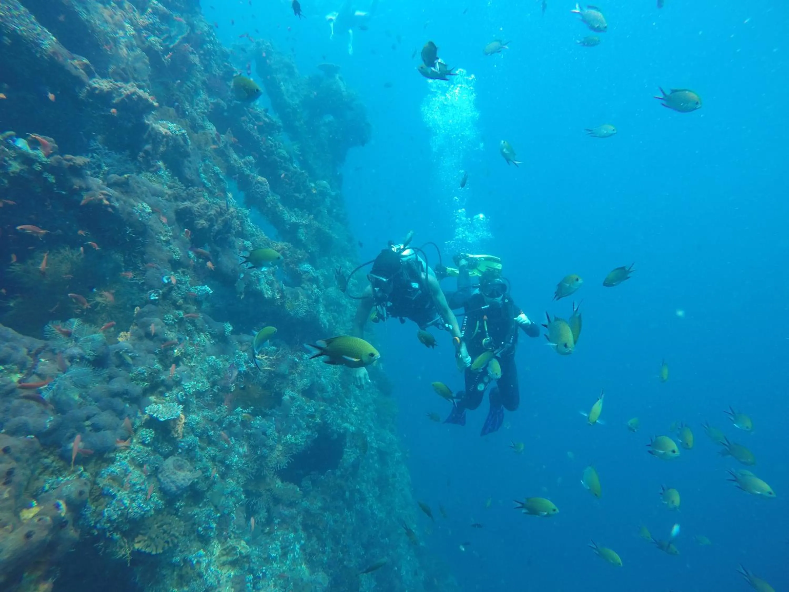 Diving in Ocean View Tulamben Dive & Resort