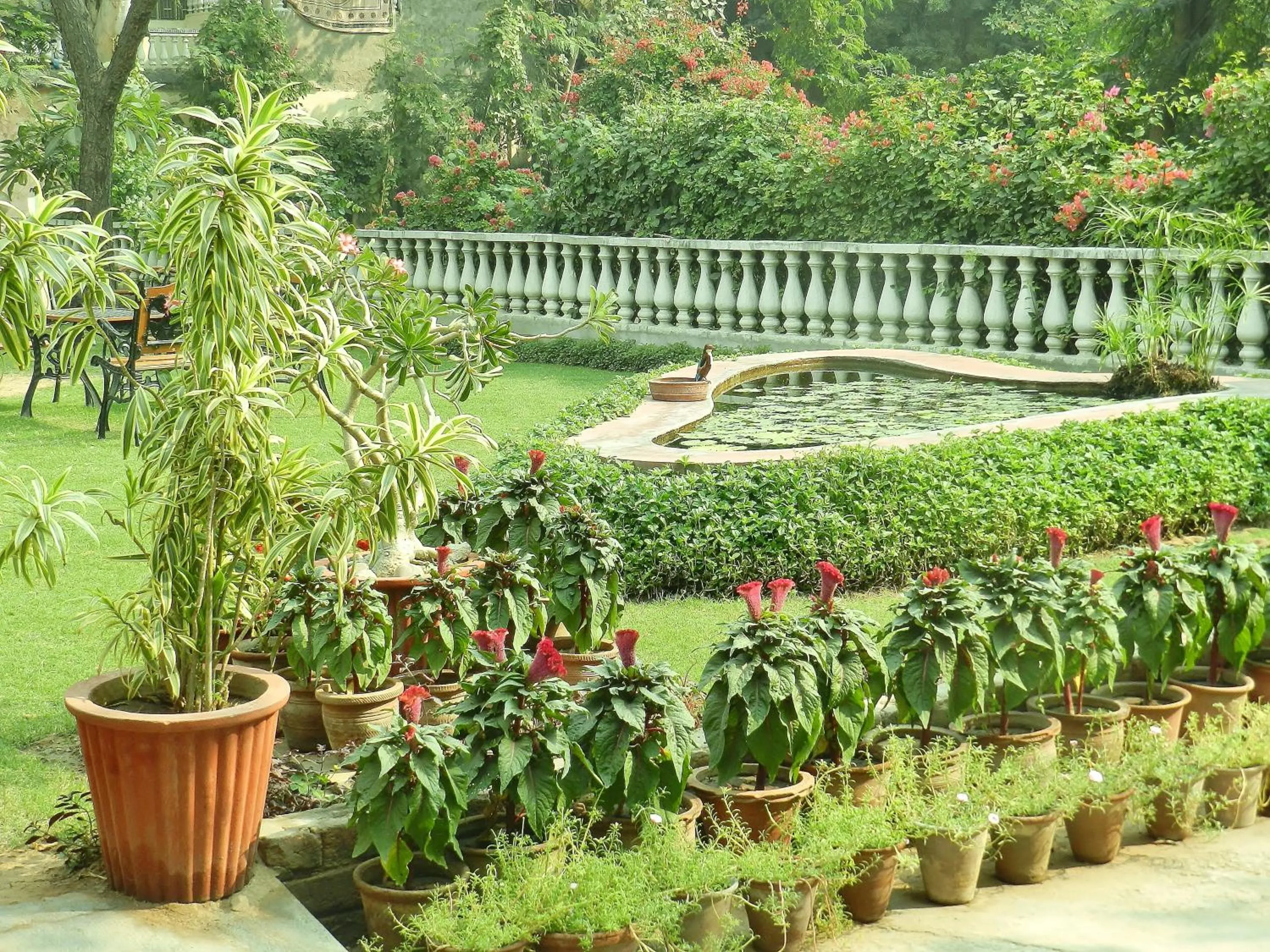 Garden in Hotel Jai Niwas