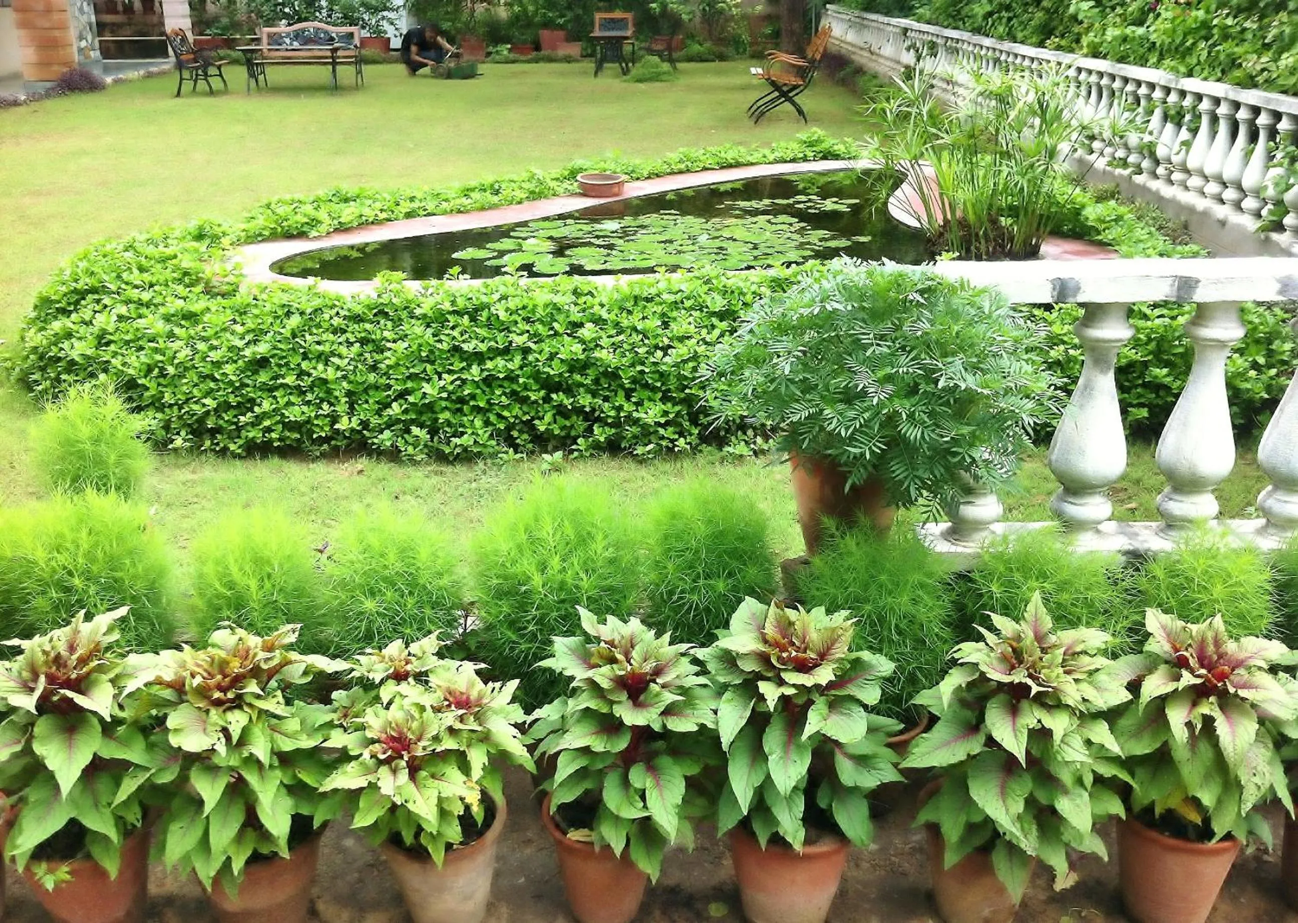 Garden in Hotel Jai Niwas