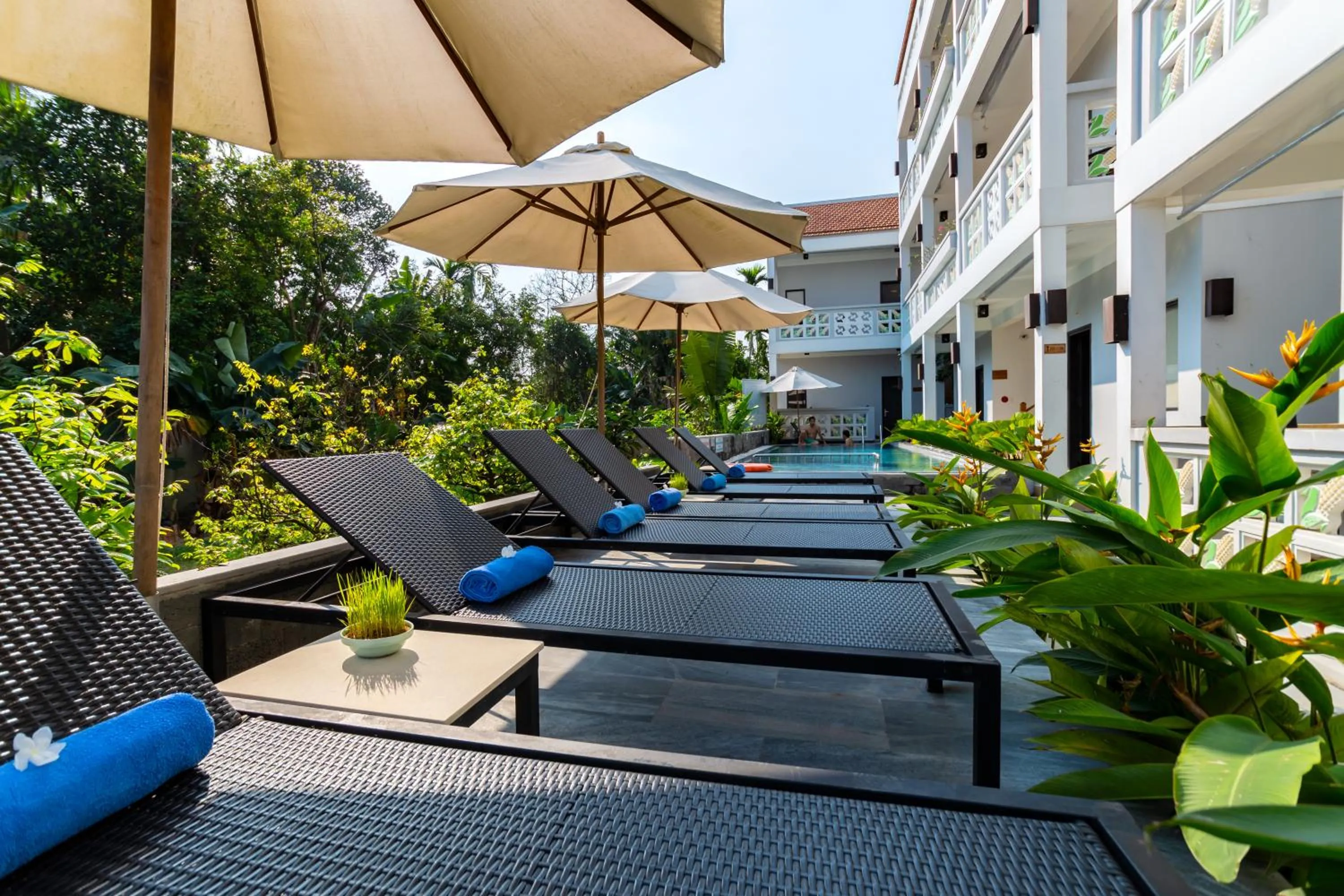 Property building in Hoi An Corn Riverside Villa