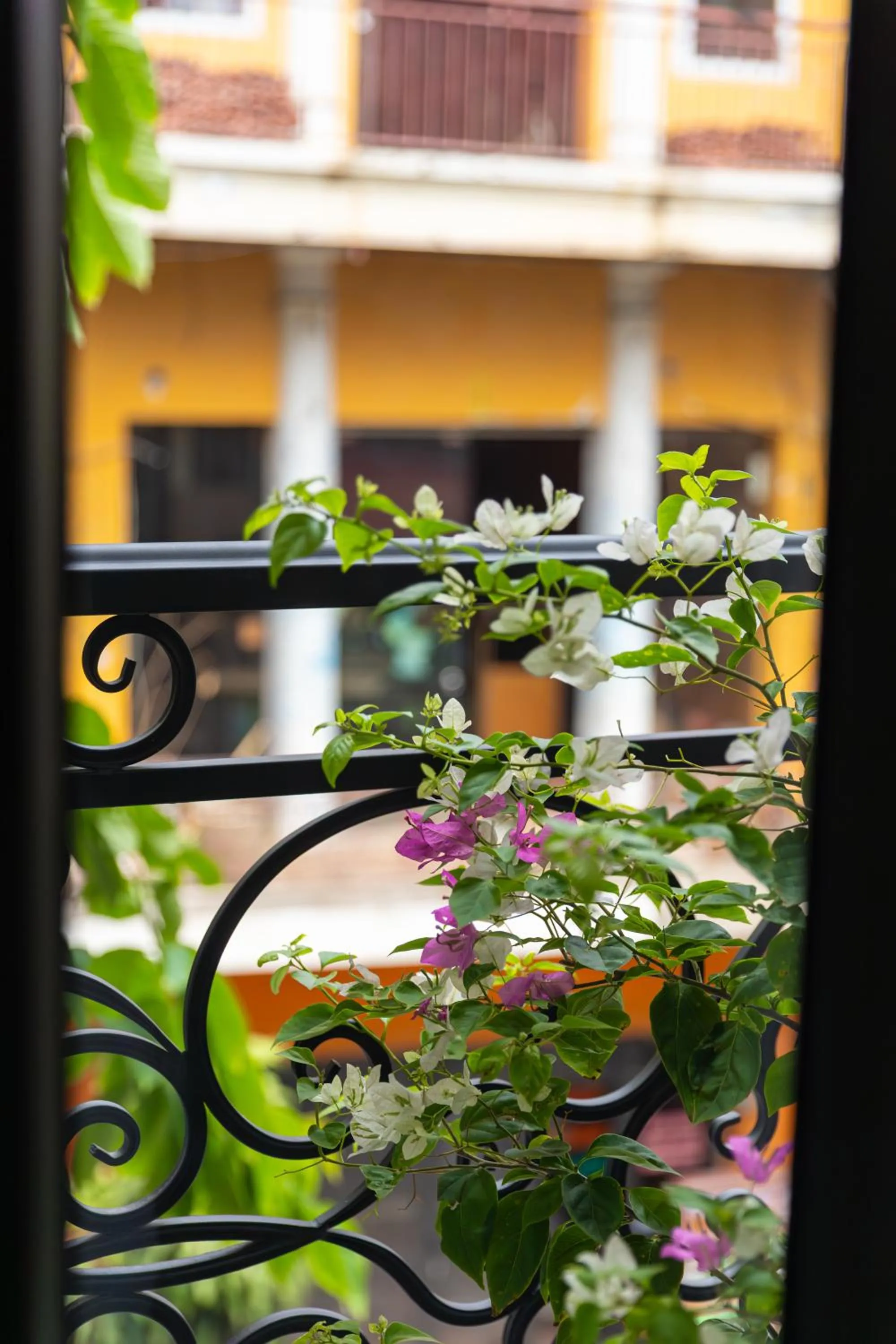 Balcony/Terrace in Hanoi House Hotel & Travel