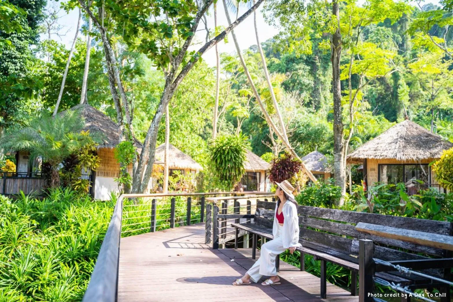 Garden in Thapwarin Resort - Green Hotel