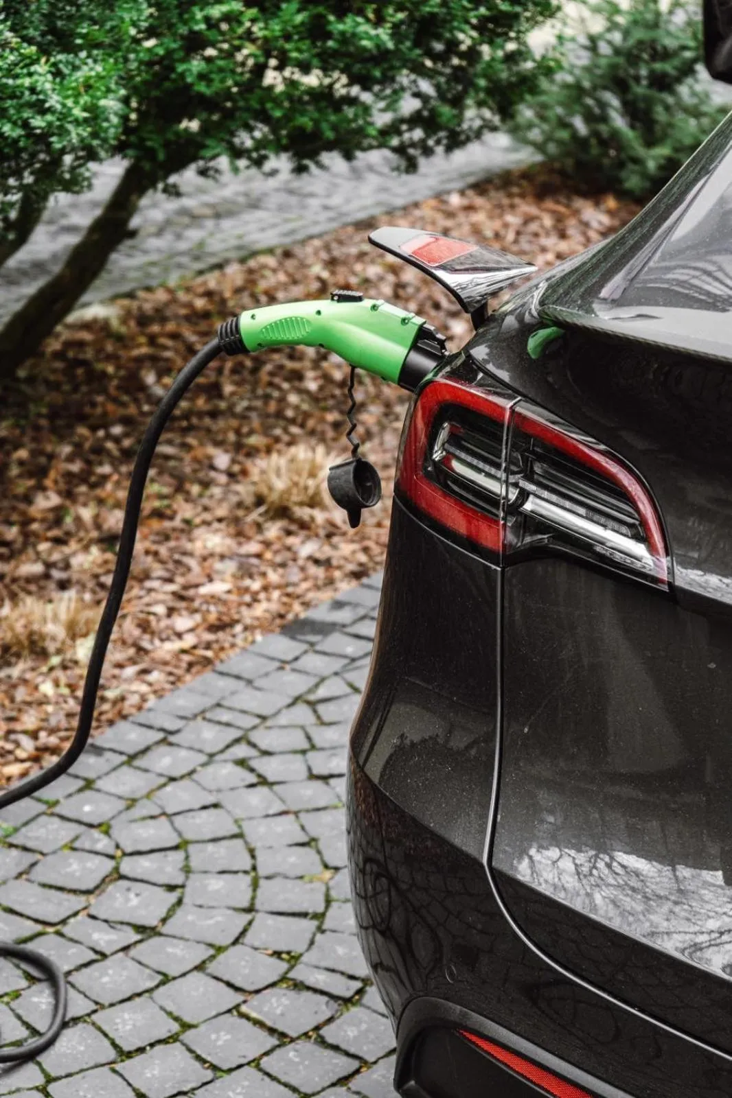 Parking in Lion's Castle Hotel