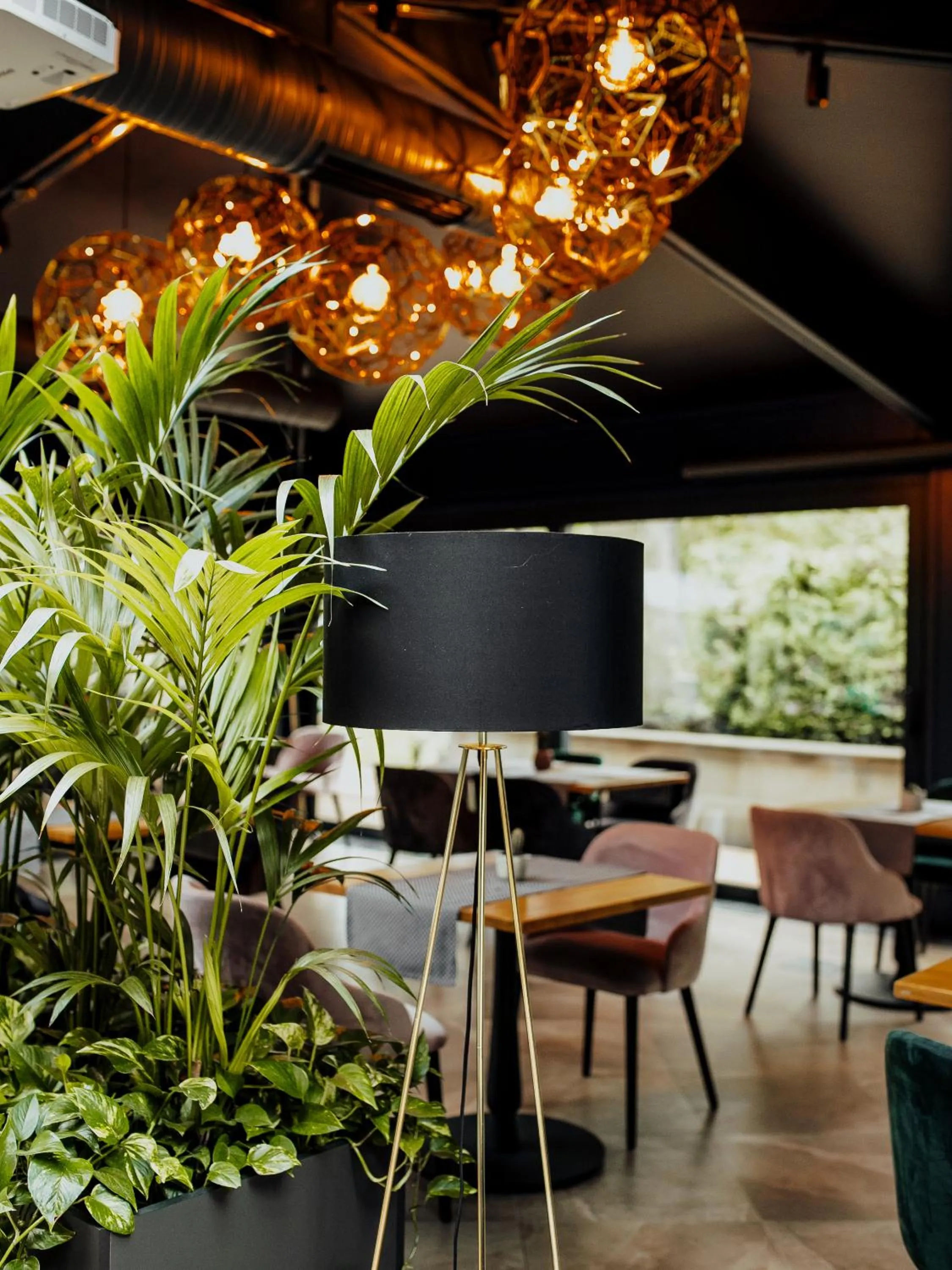 Restaurant/places to eat in Lion's Castle Hotel