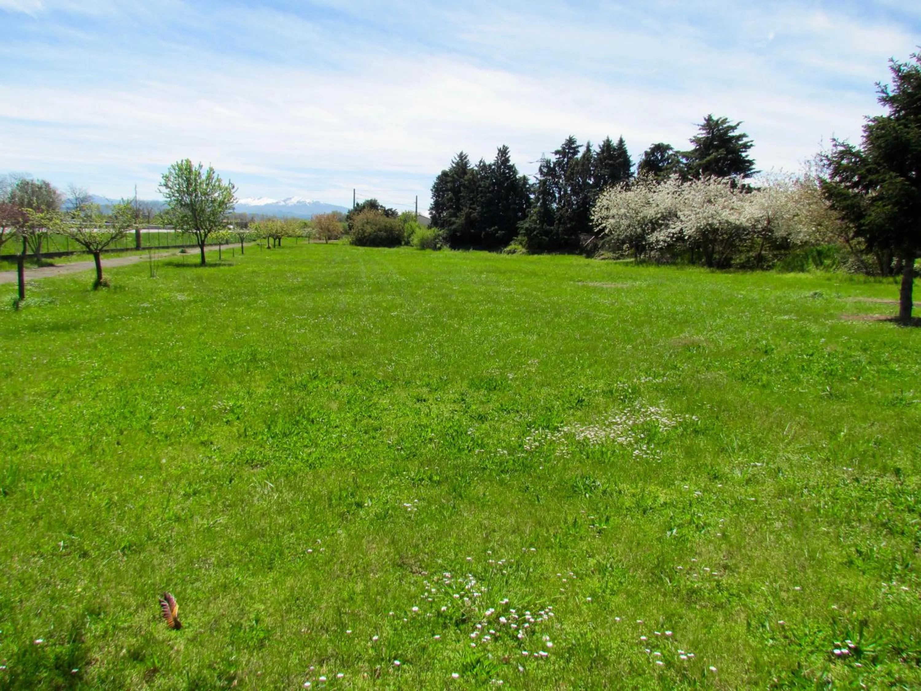 Garden in Hôtel La Rocade