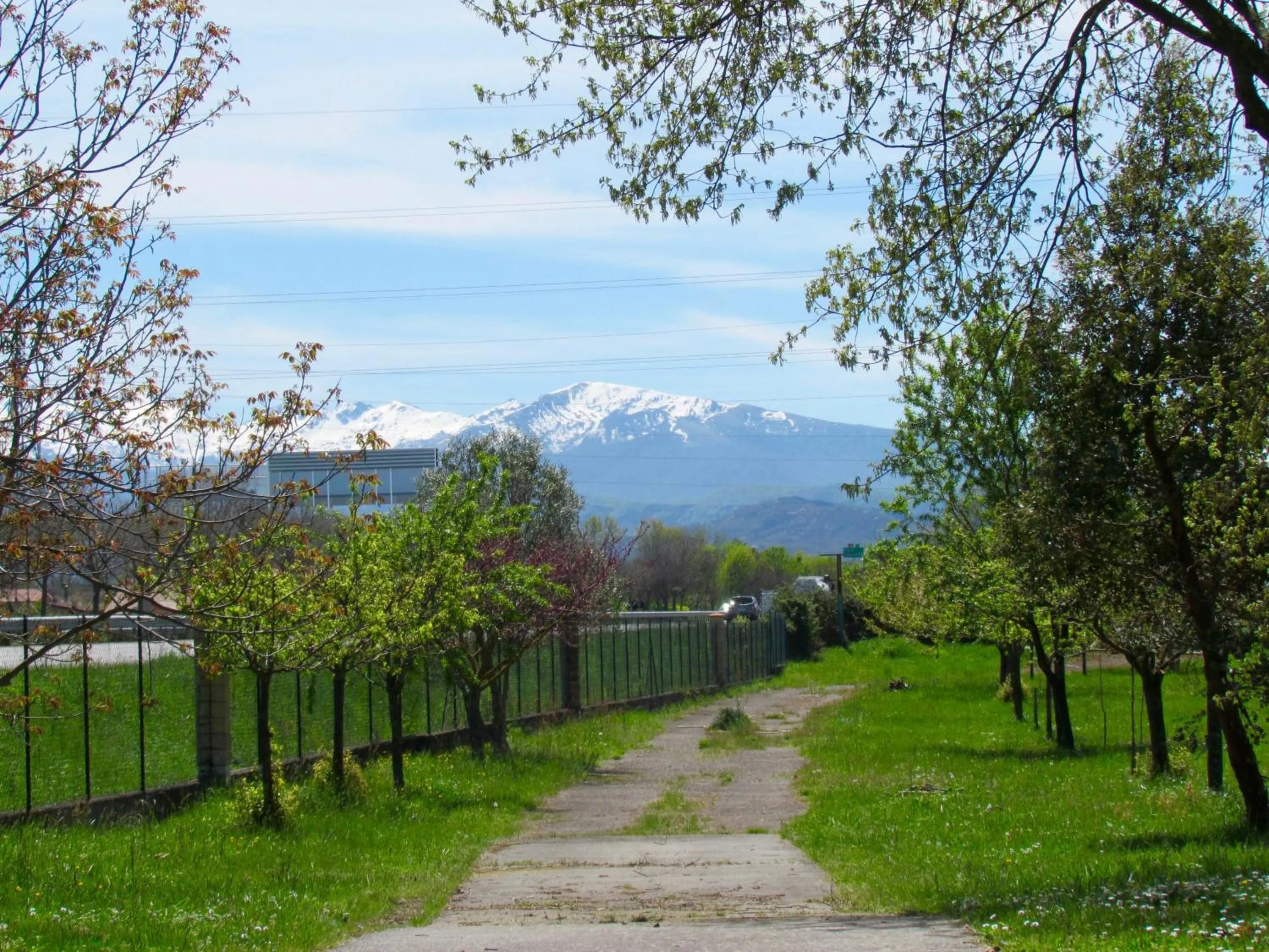 Garden in Hôtel La Rocade