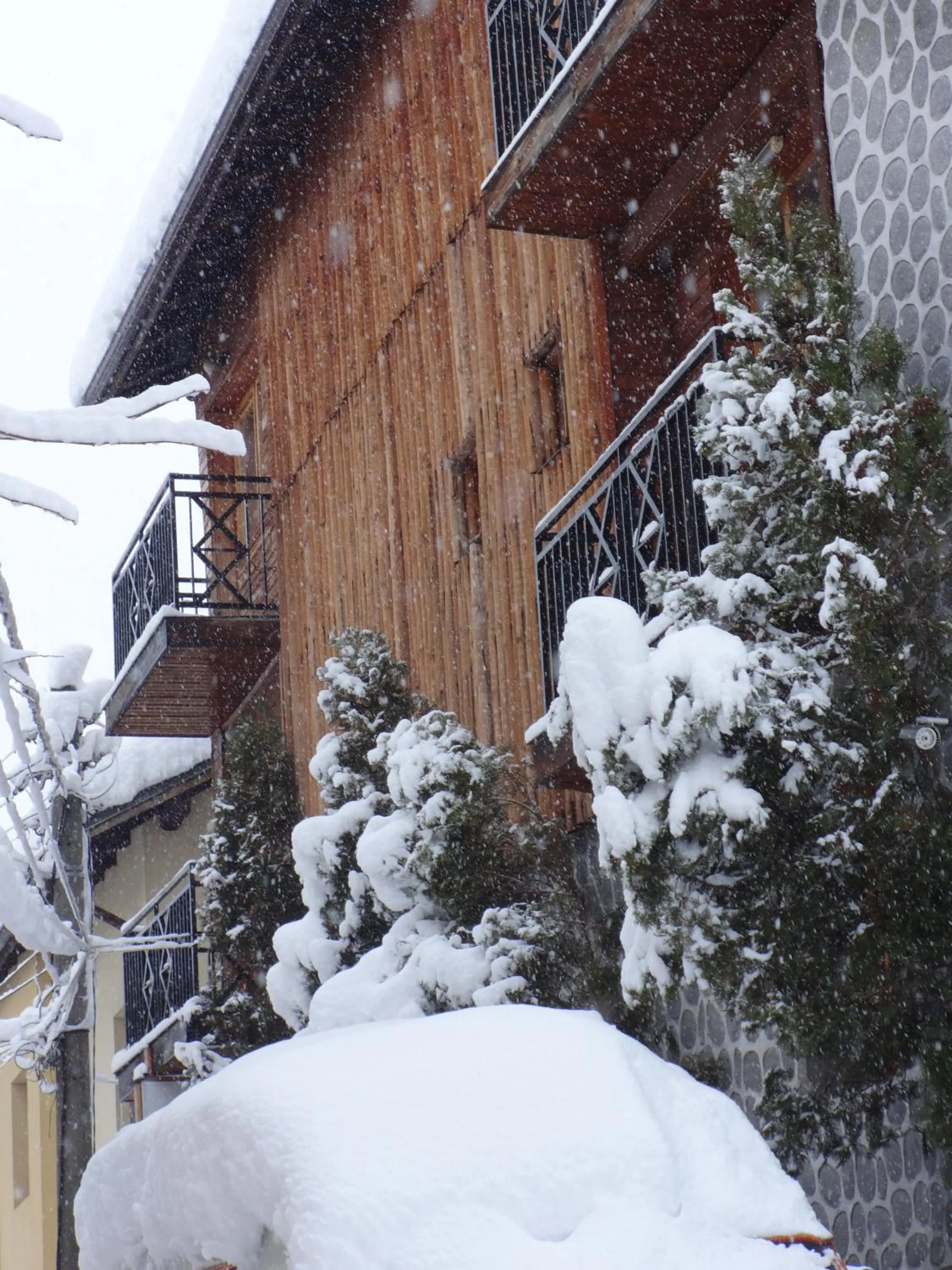 Facade/entrance in Family Hotel Bisser
