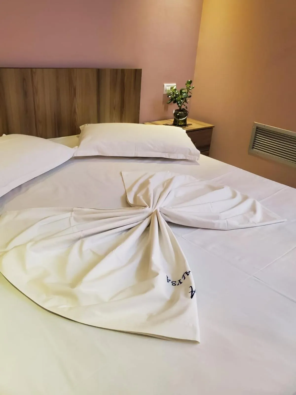 Photo of the whole room, Bed in Hotel Alysa Korce