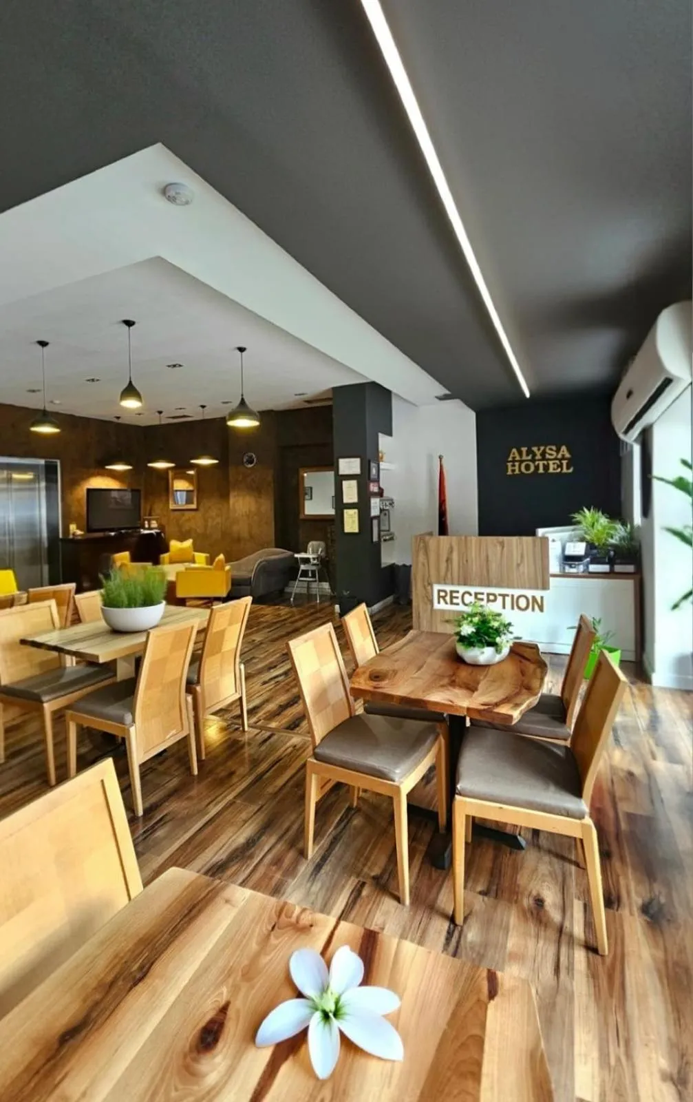 Seating area in Hotel Alysa Korce