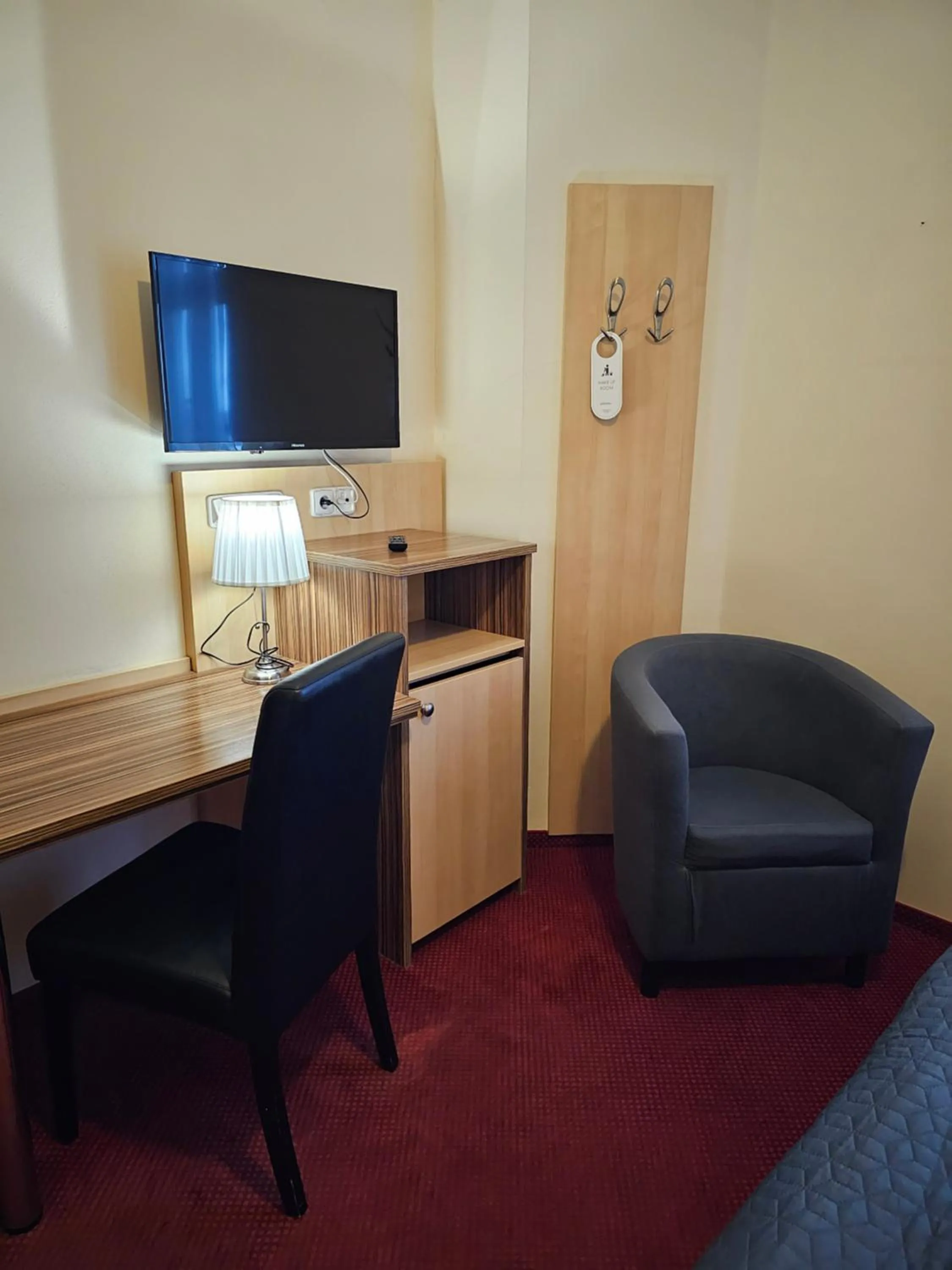 TV and multimedia in Hotel U Divadla