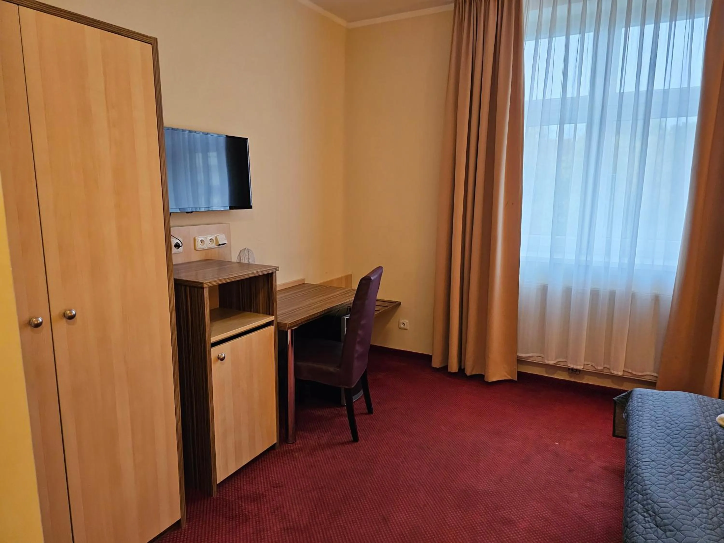 TV and multimedia in Hotel U Divadla