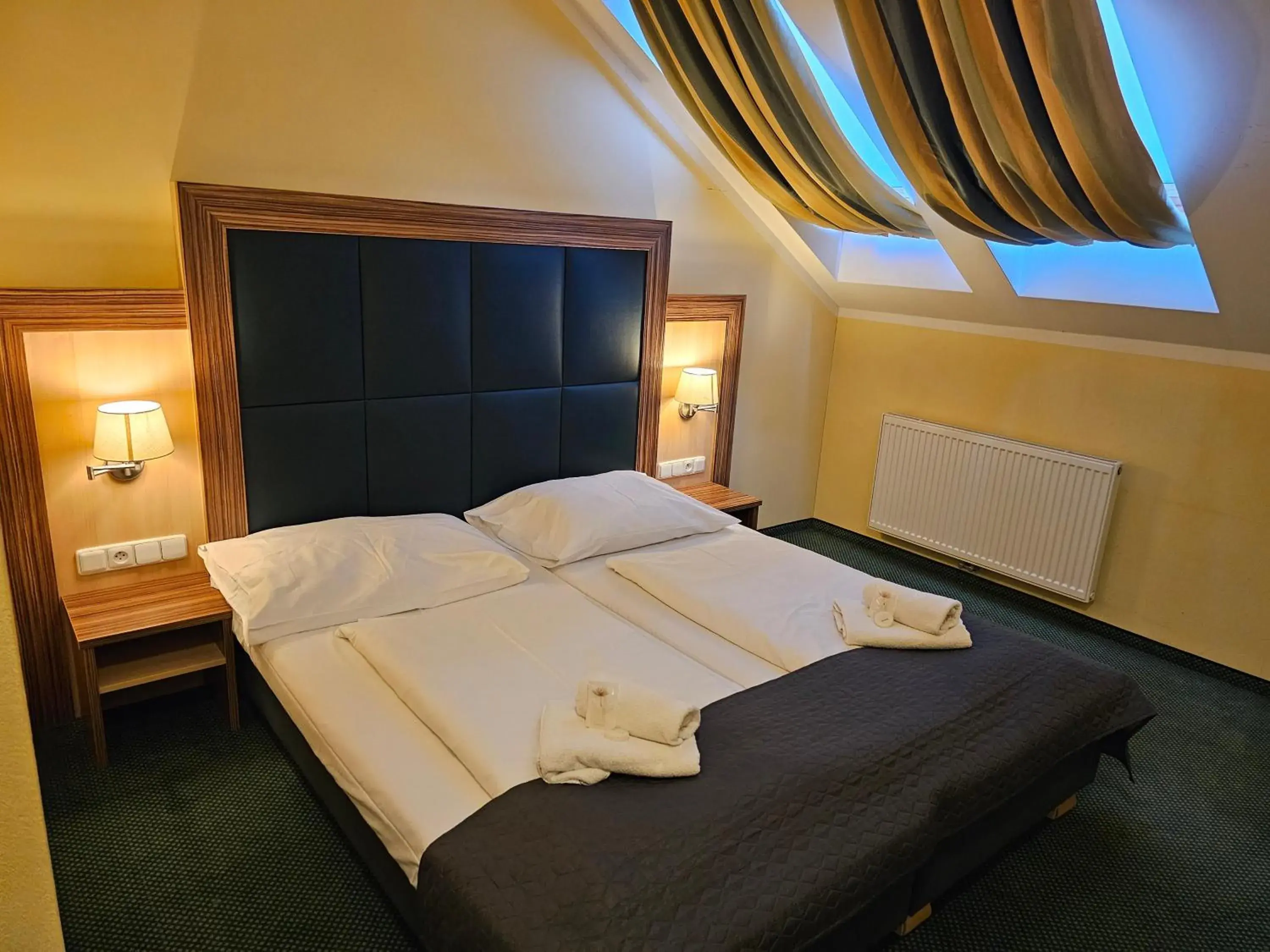 Double or Twin Room in Hotel U Divadla Double or Twin Room in Hotel U Divadla