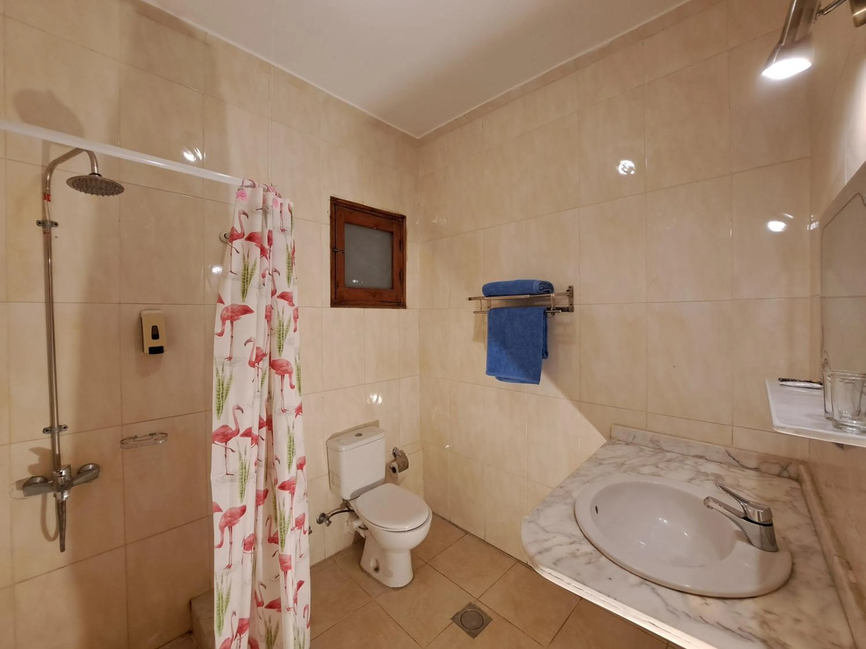 Shower in Thebes Hotel