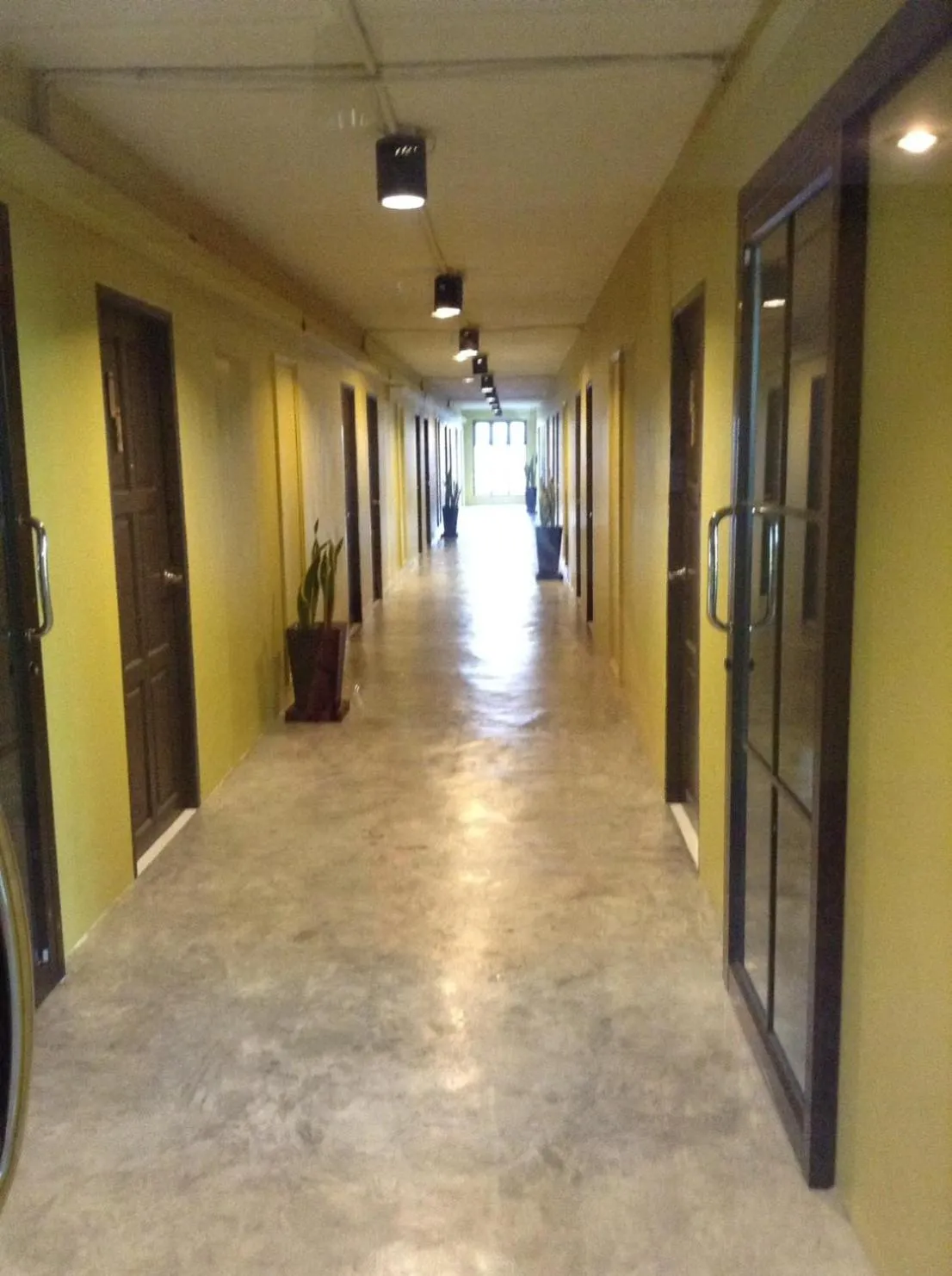 Area and facilities in Nimman Expat Home