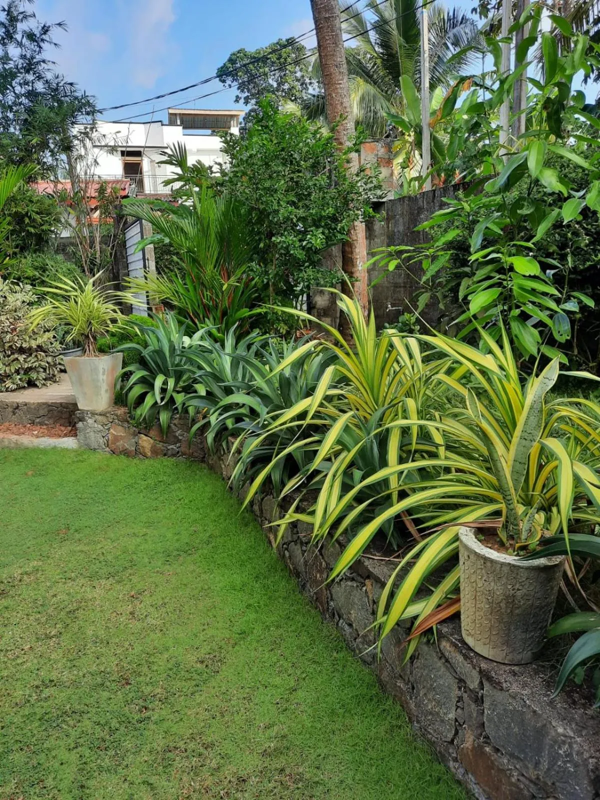 Garden in Sun & Moon Good View Villa