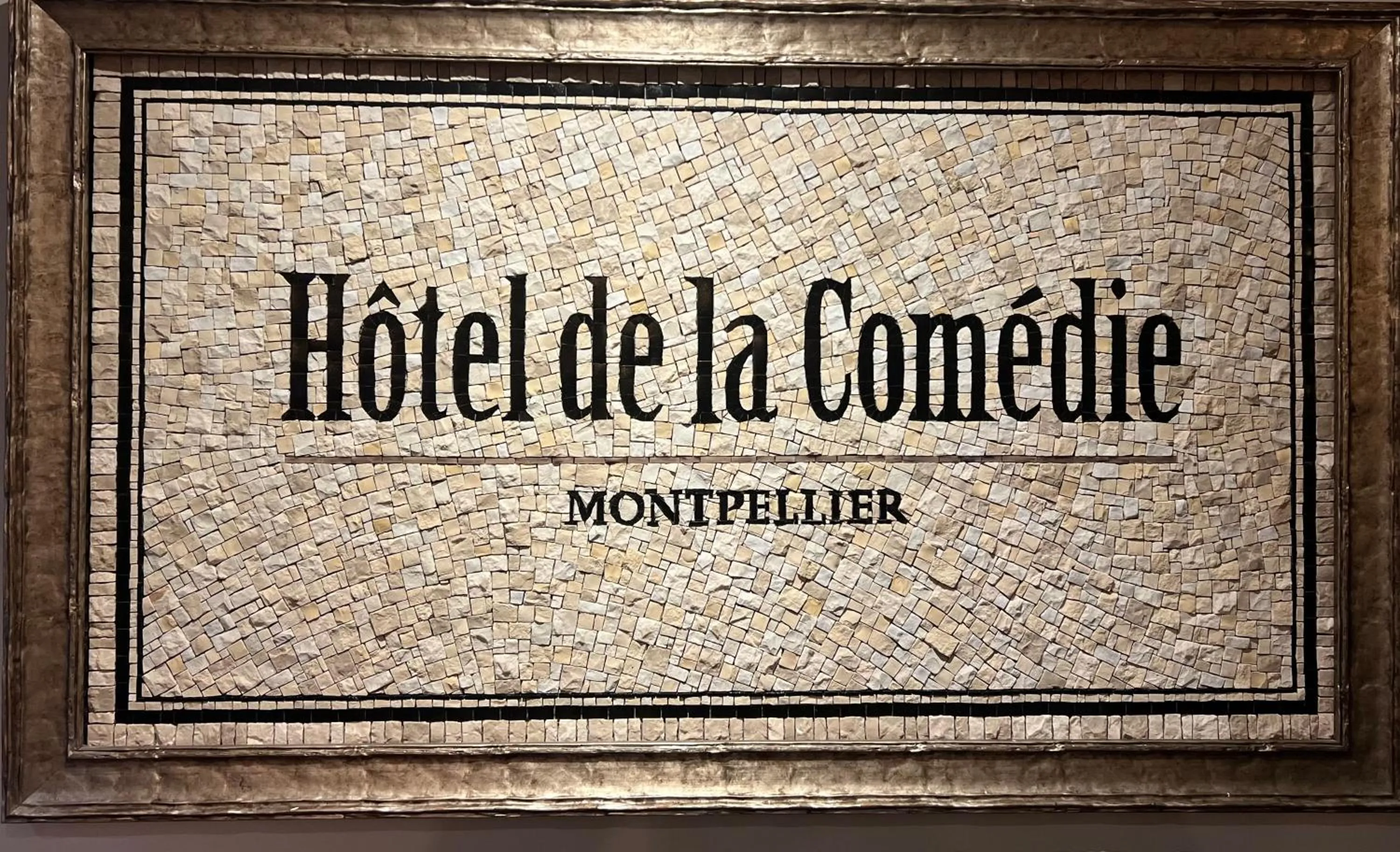 Property logo or sign in Hotel de La Comédie - Place De La Comédie-indépendant
