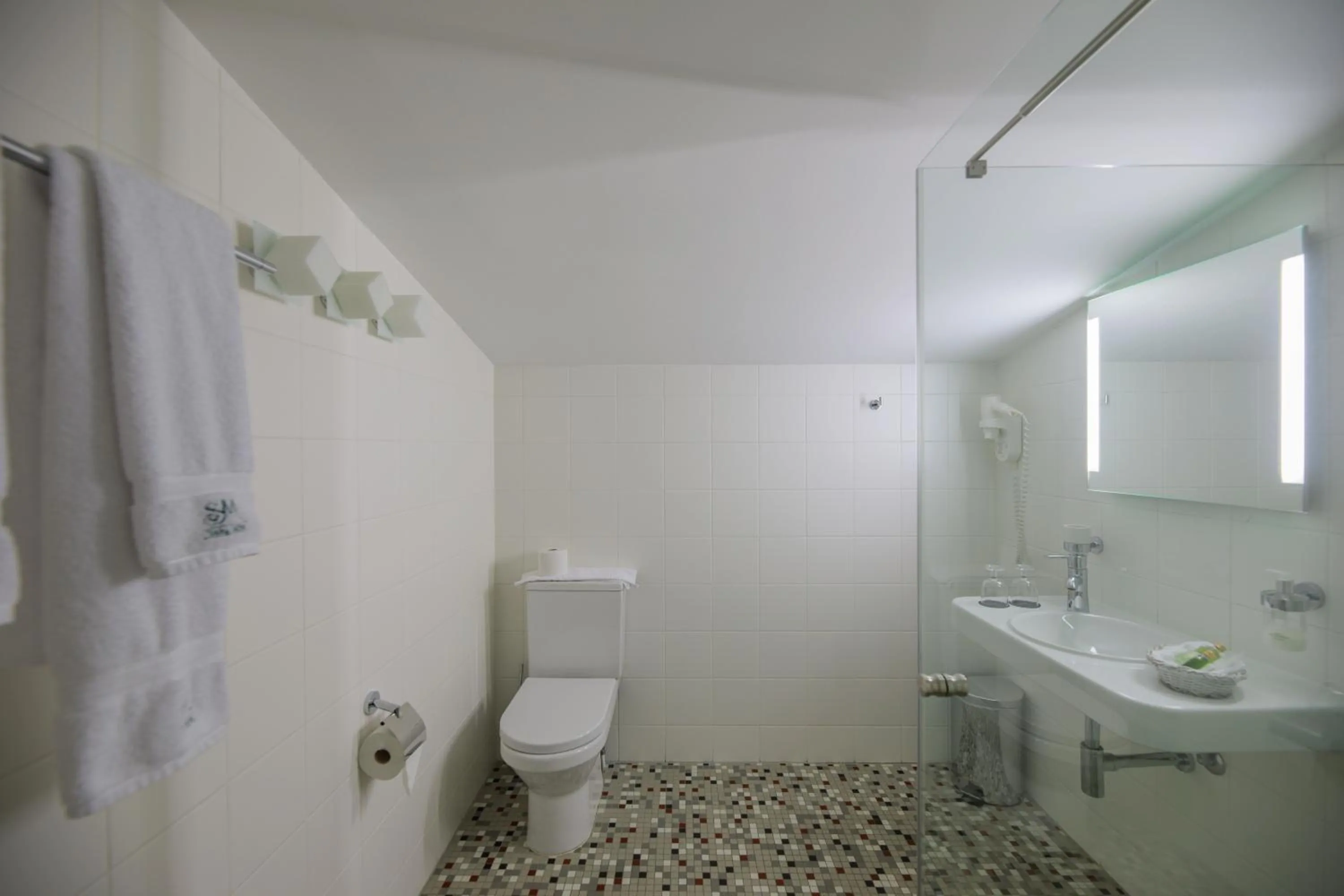 Shower in Saka Manor