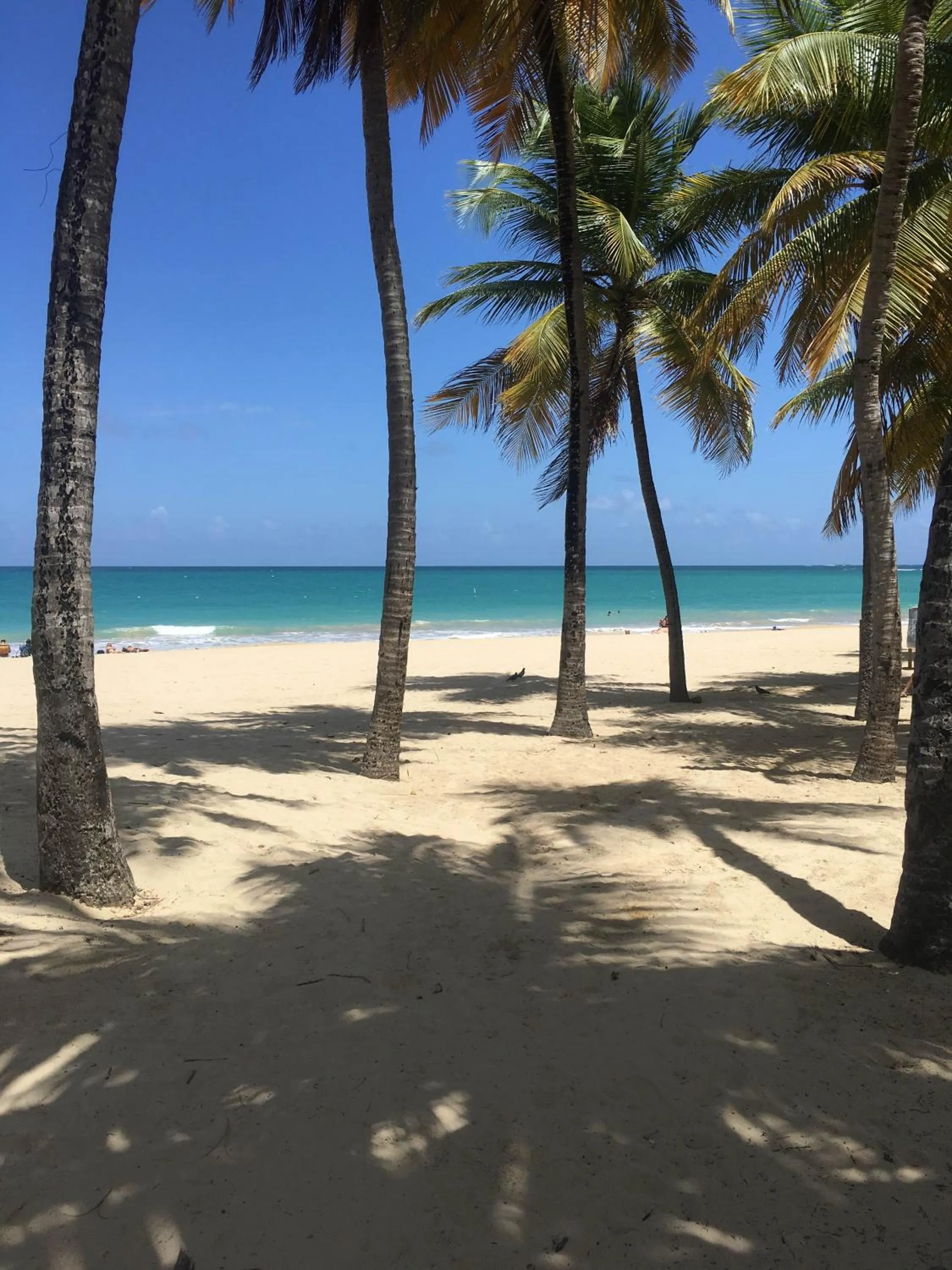 Beach in Borinquen Beach Inn