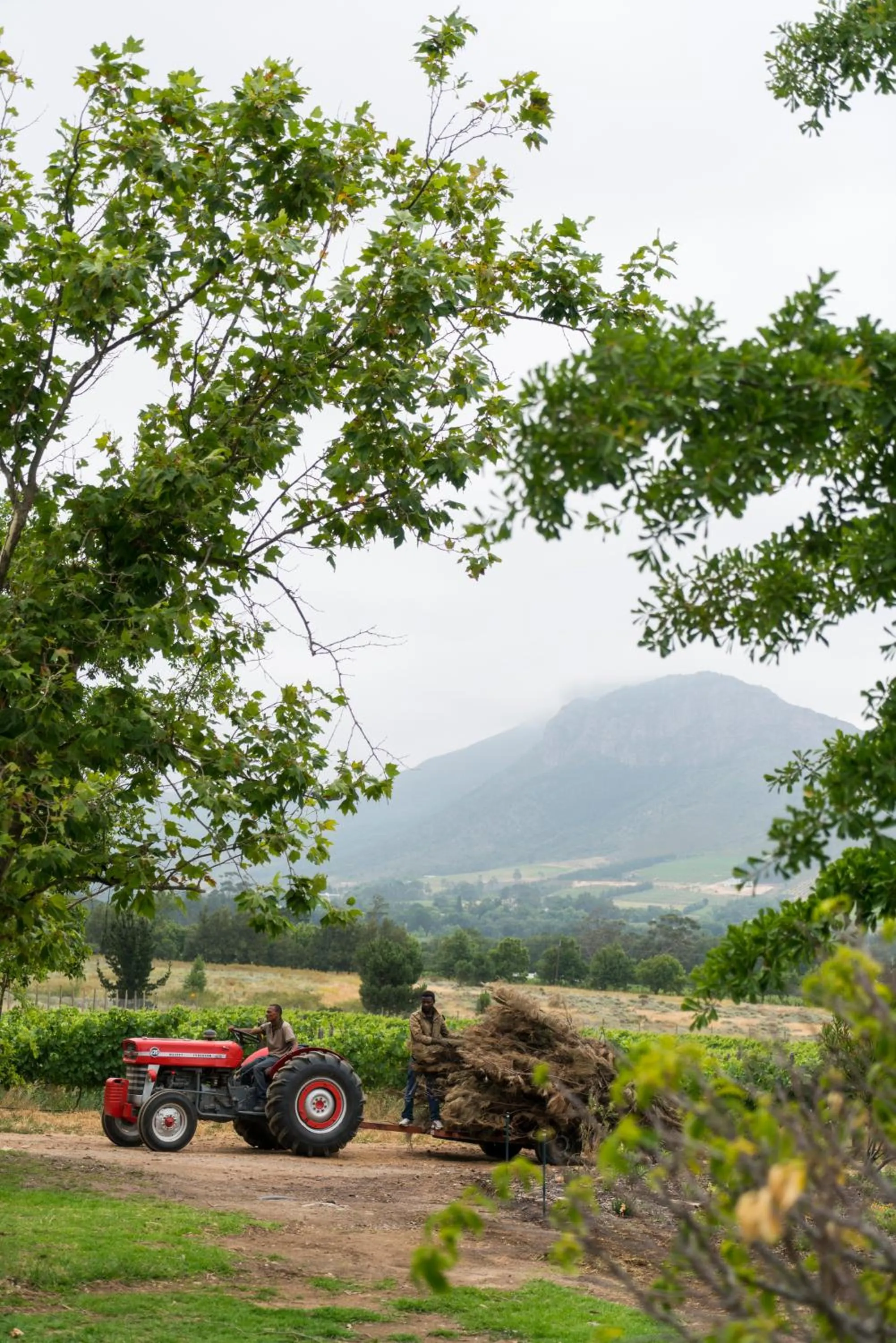 Natural landscape in Cape Vue Country House