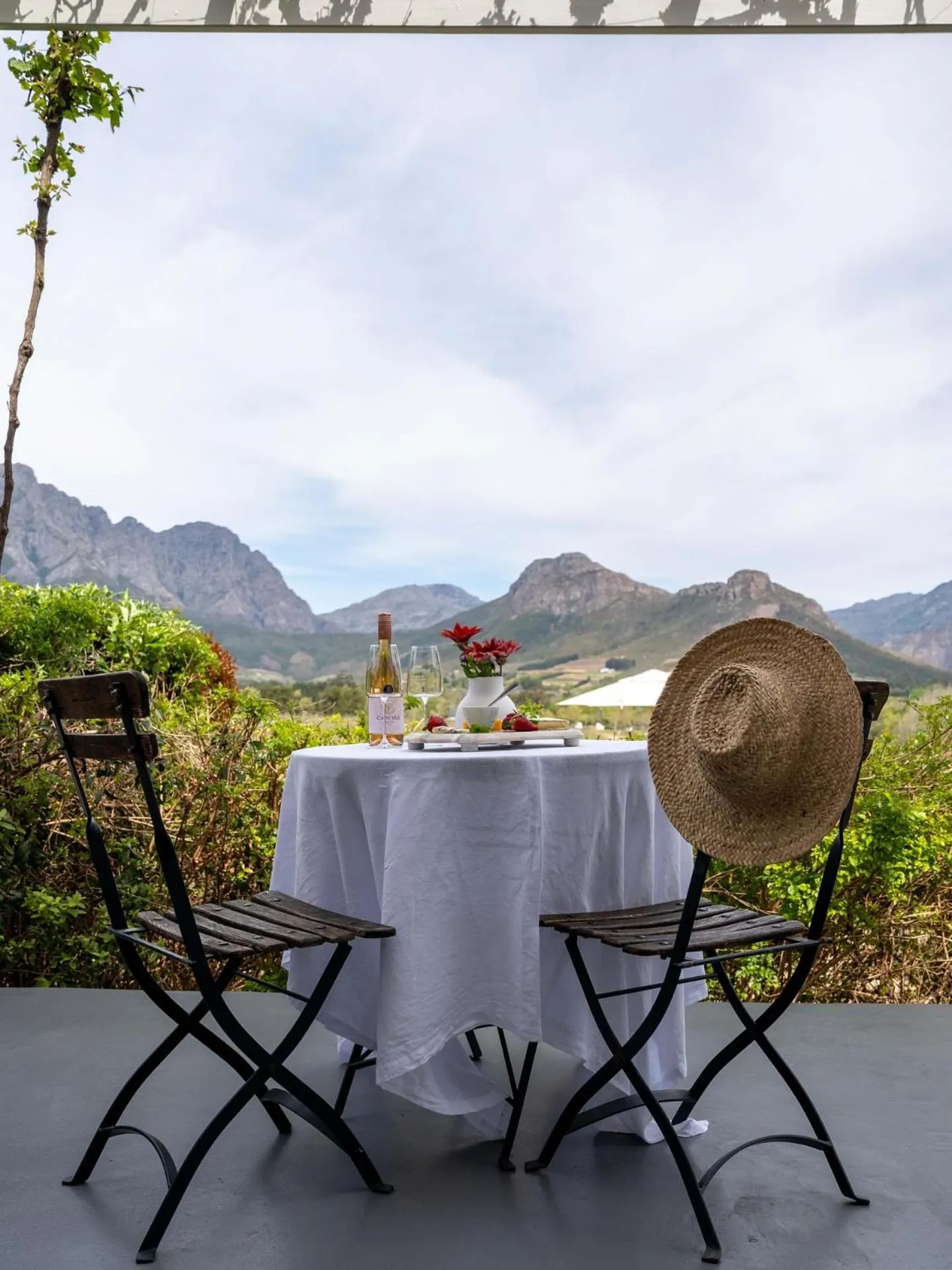 Mountain view in Cape Vue Country House