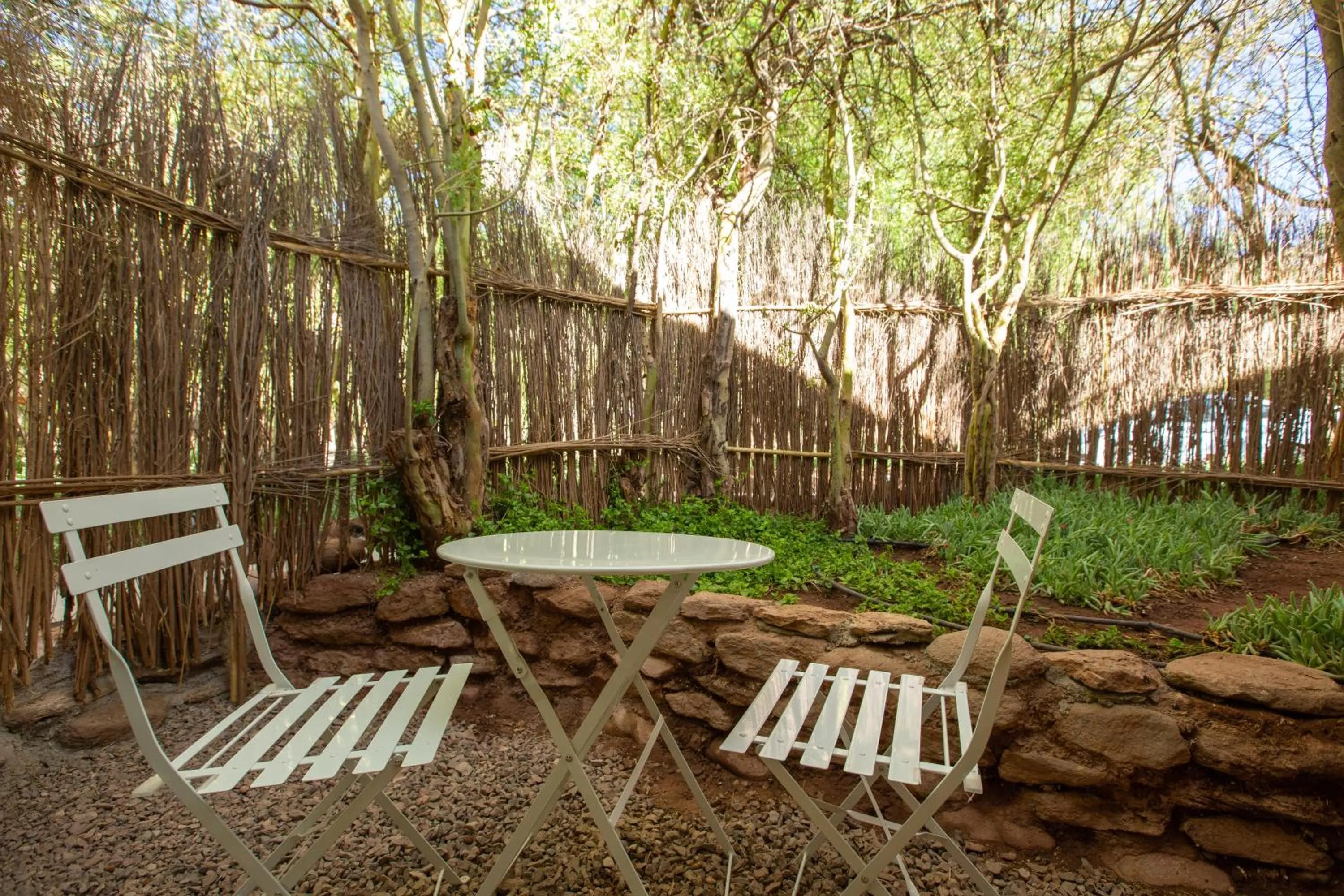 Balcony/Terrace in Casa Solcor Boutique Bed & Breakfast