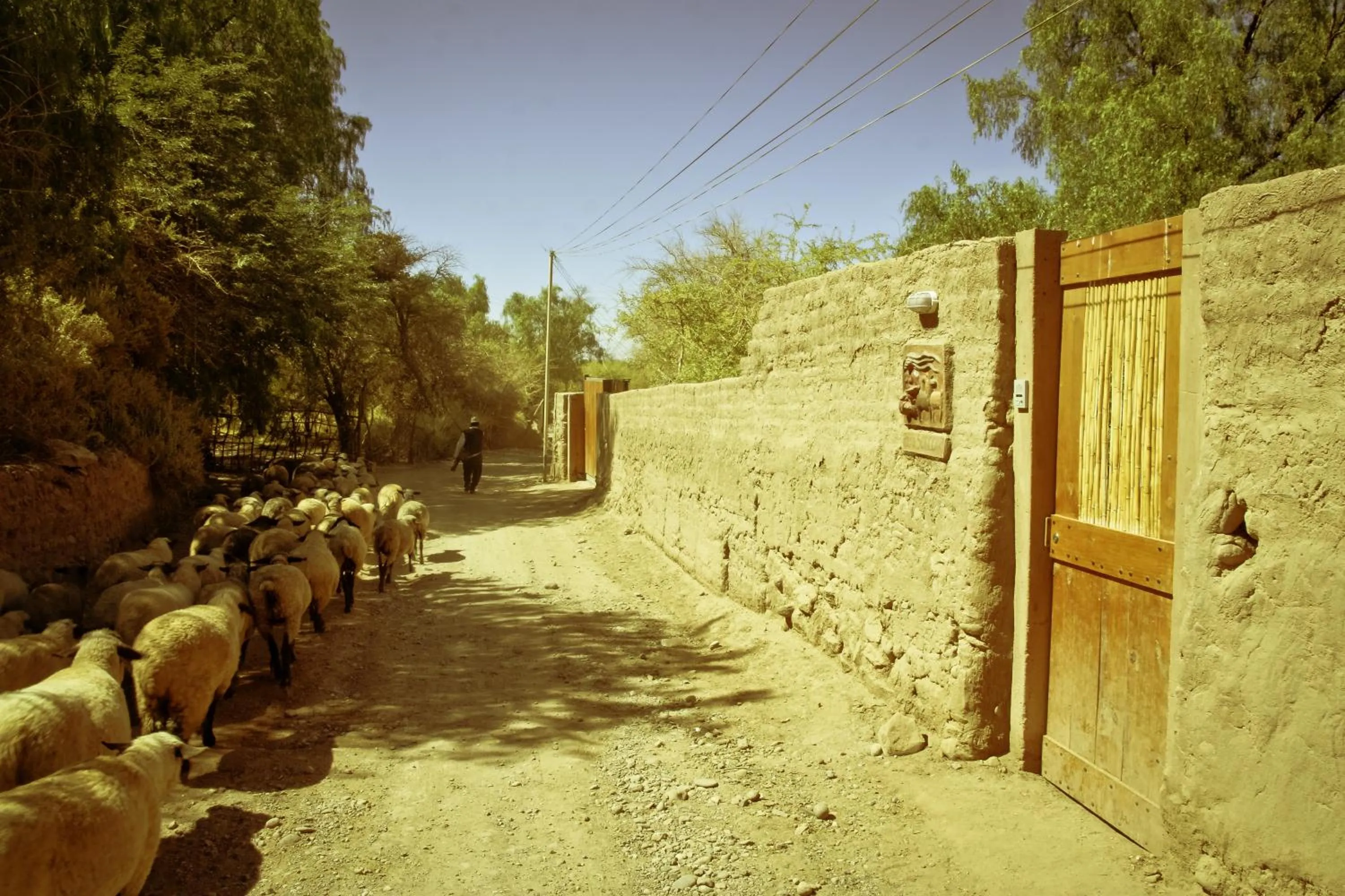 Facade/entrance in Casa Solcor Boutique Bed & Breakfast