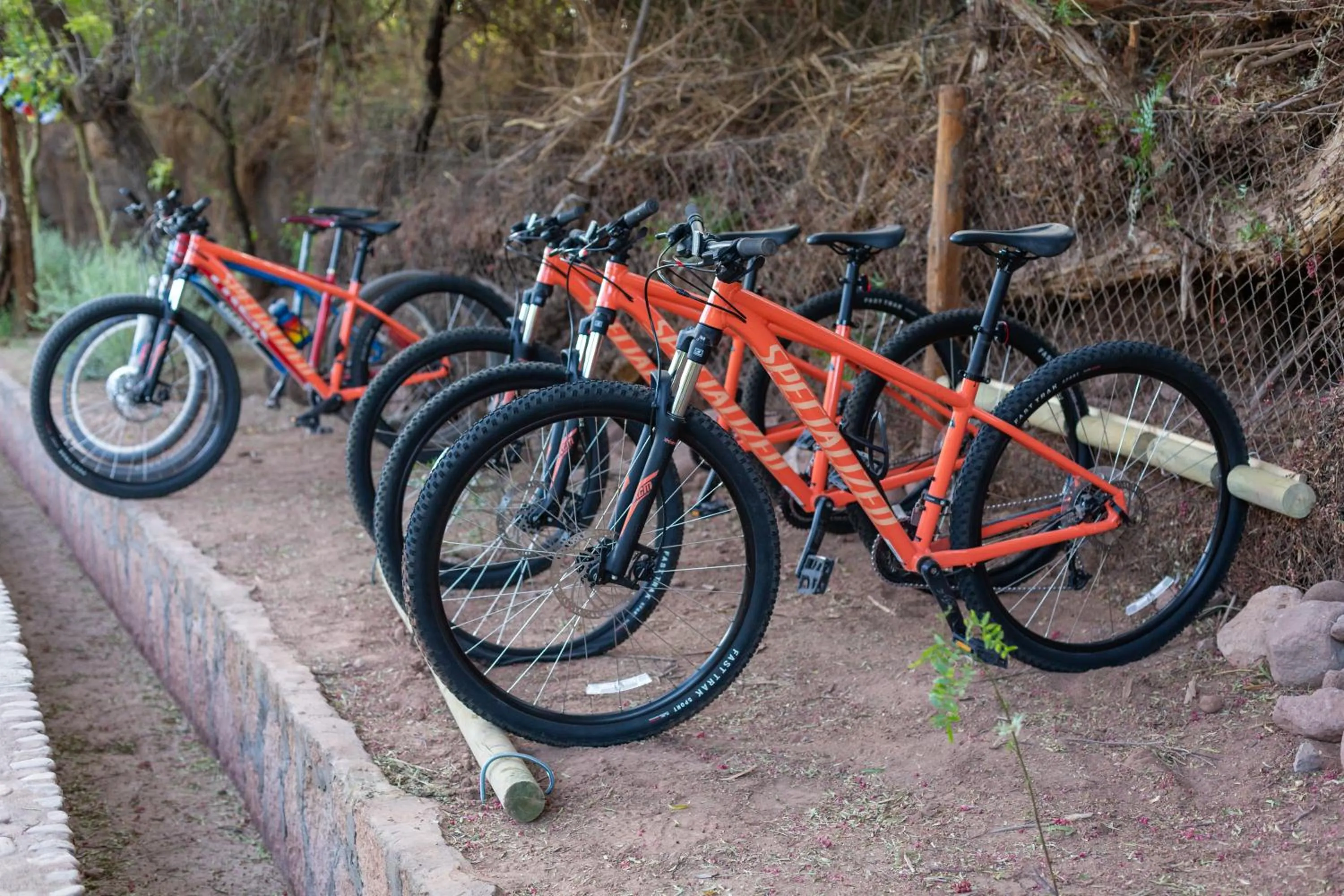 Day in Casa Solcor Boutique Bed & Breakfast