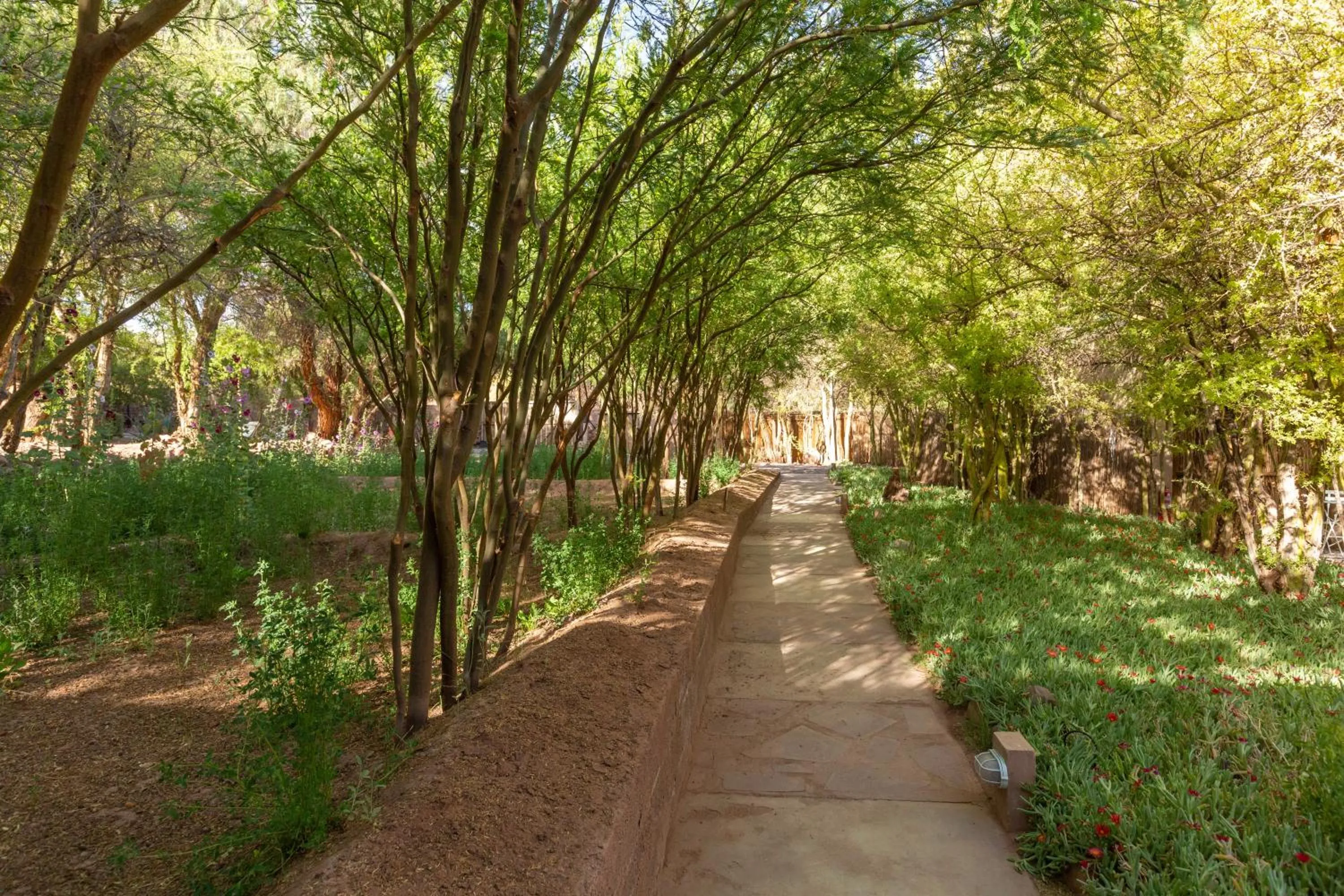 Day in Casa Solcor Boutique Bed & Breakfast