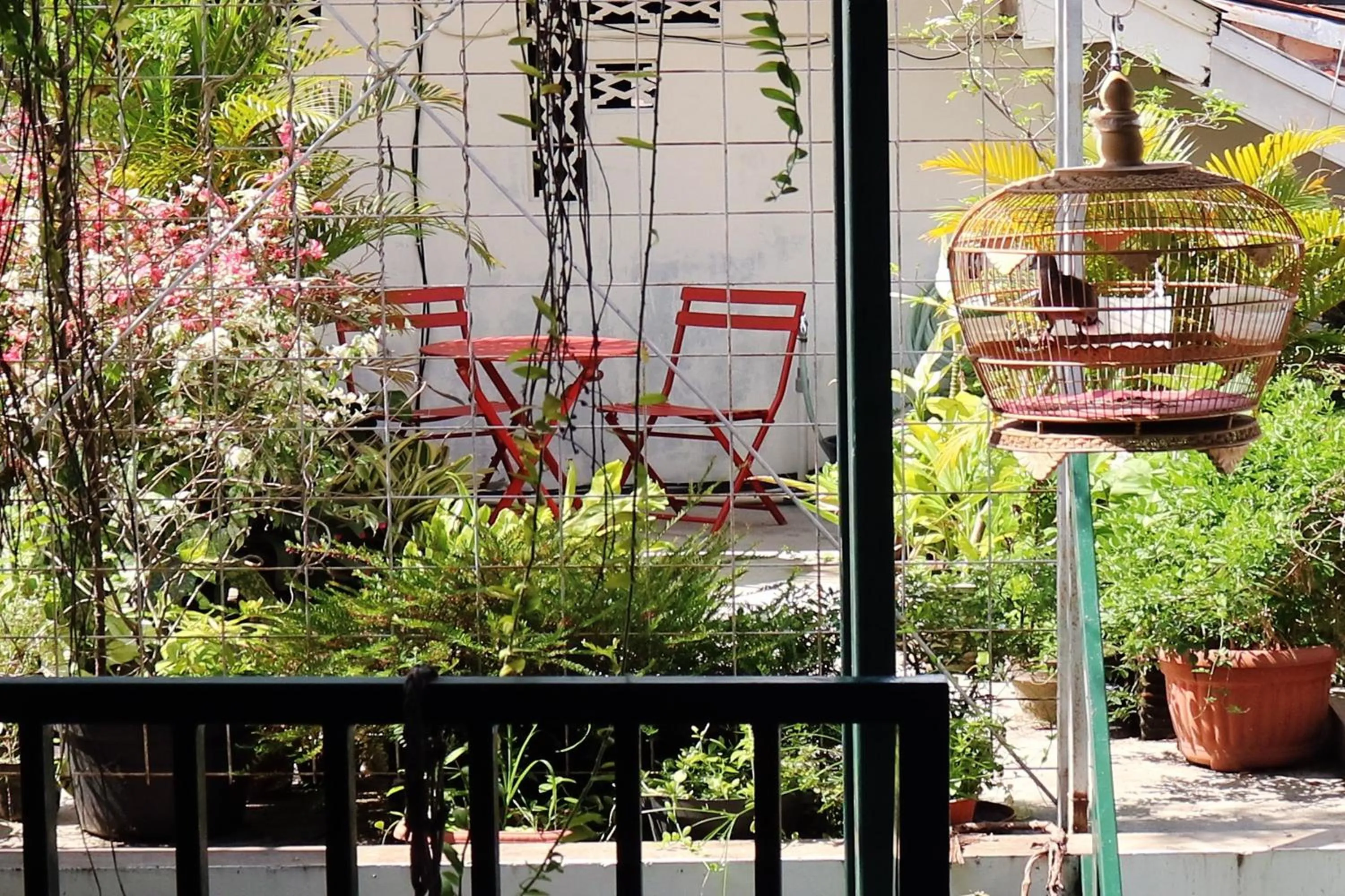 Patio in Omah Gerjen 29