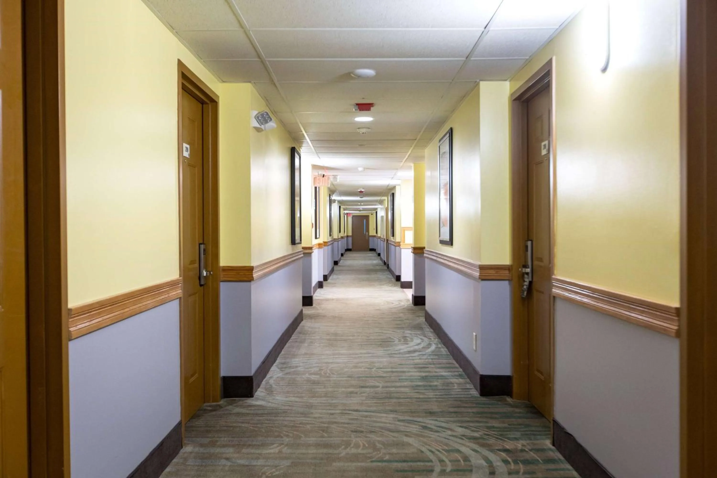 Other in Super 8 by Wyndham Branson By Andy Williams Theatre