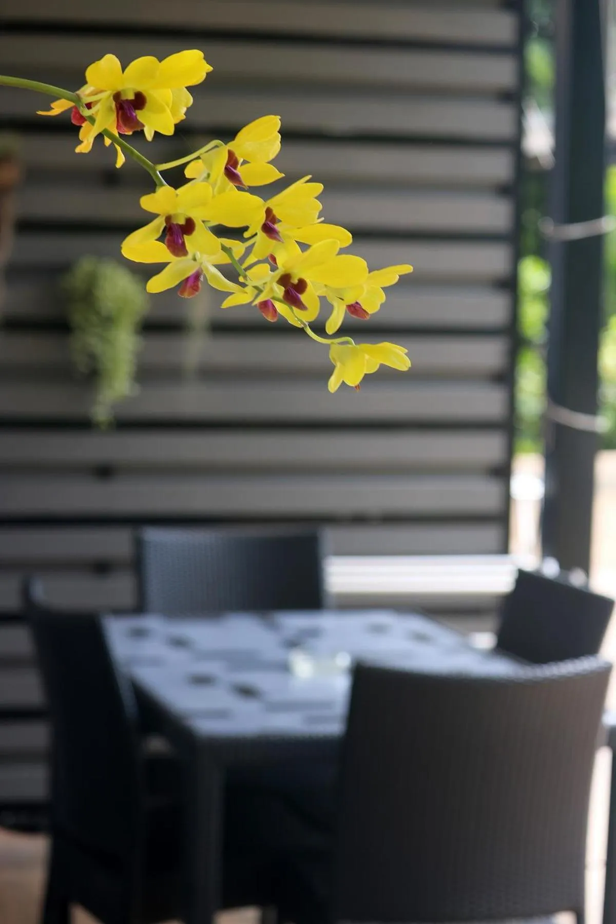 Shower in White Flower Lanta