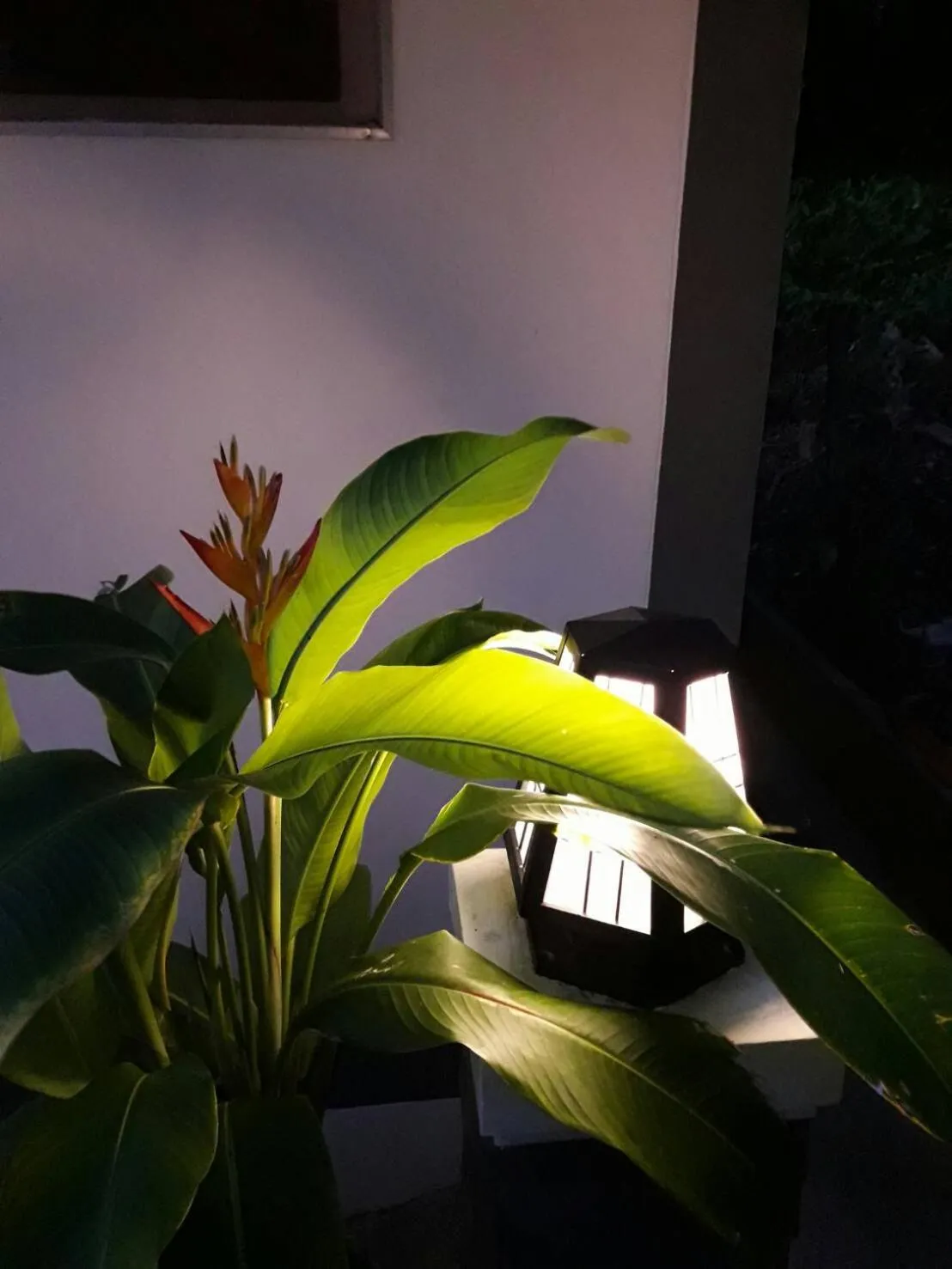 Decorative detail in White Flower Lanta