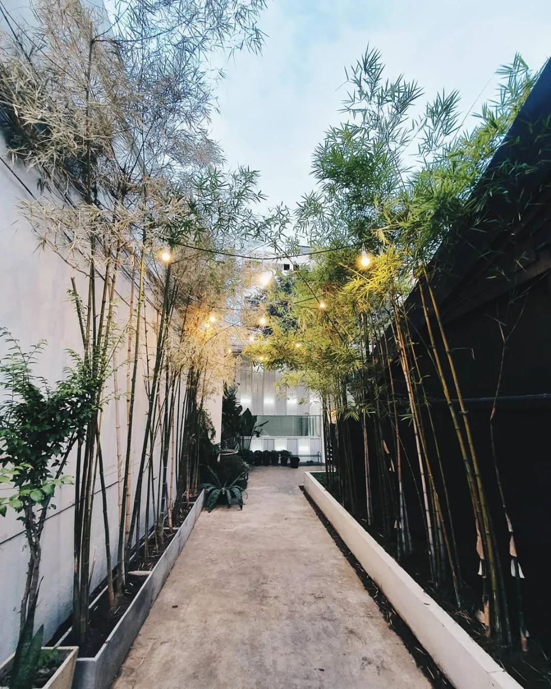 Day in The PARK Society