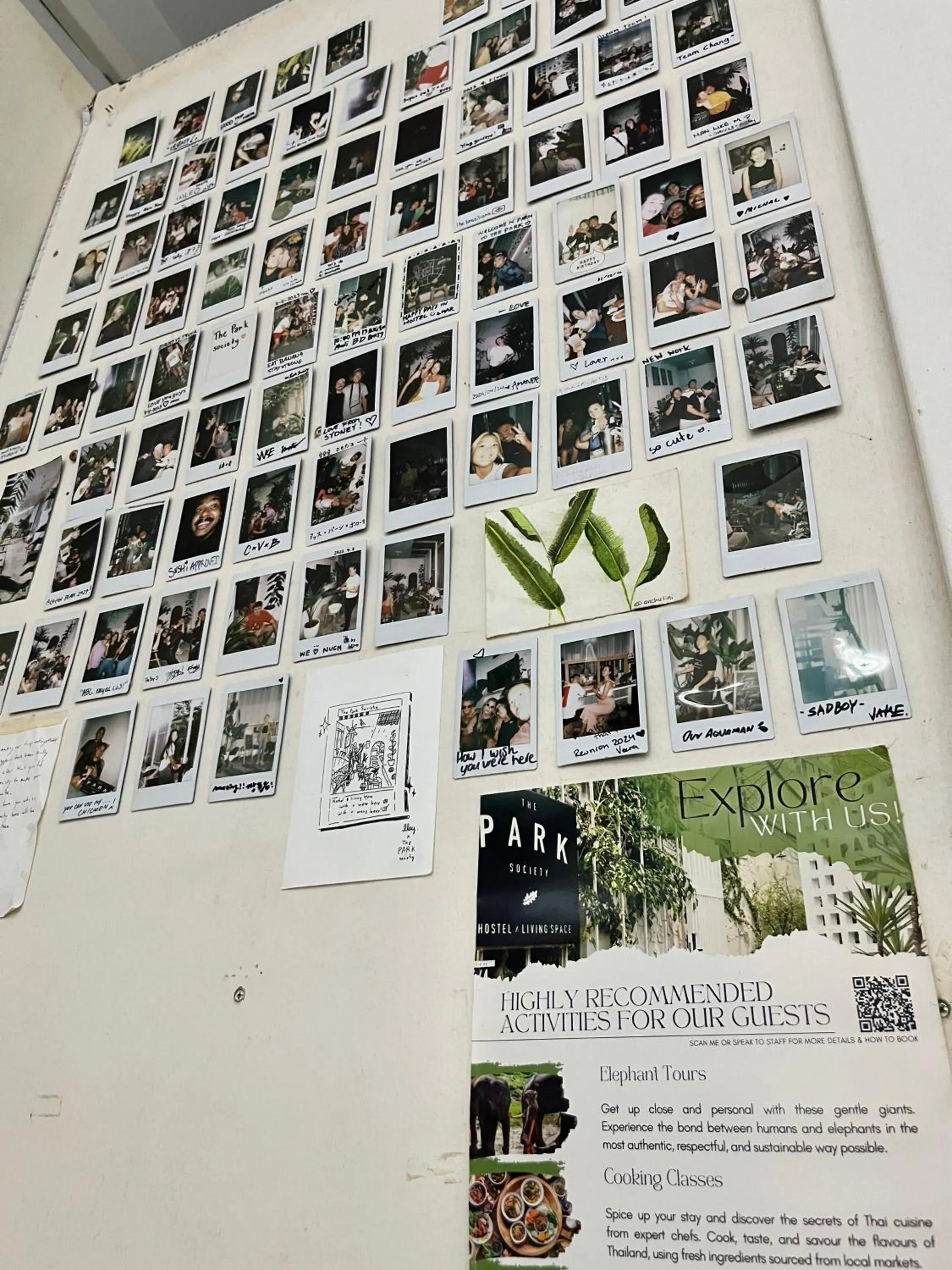 group of guests in The PARK Society